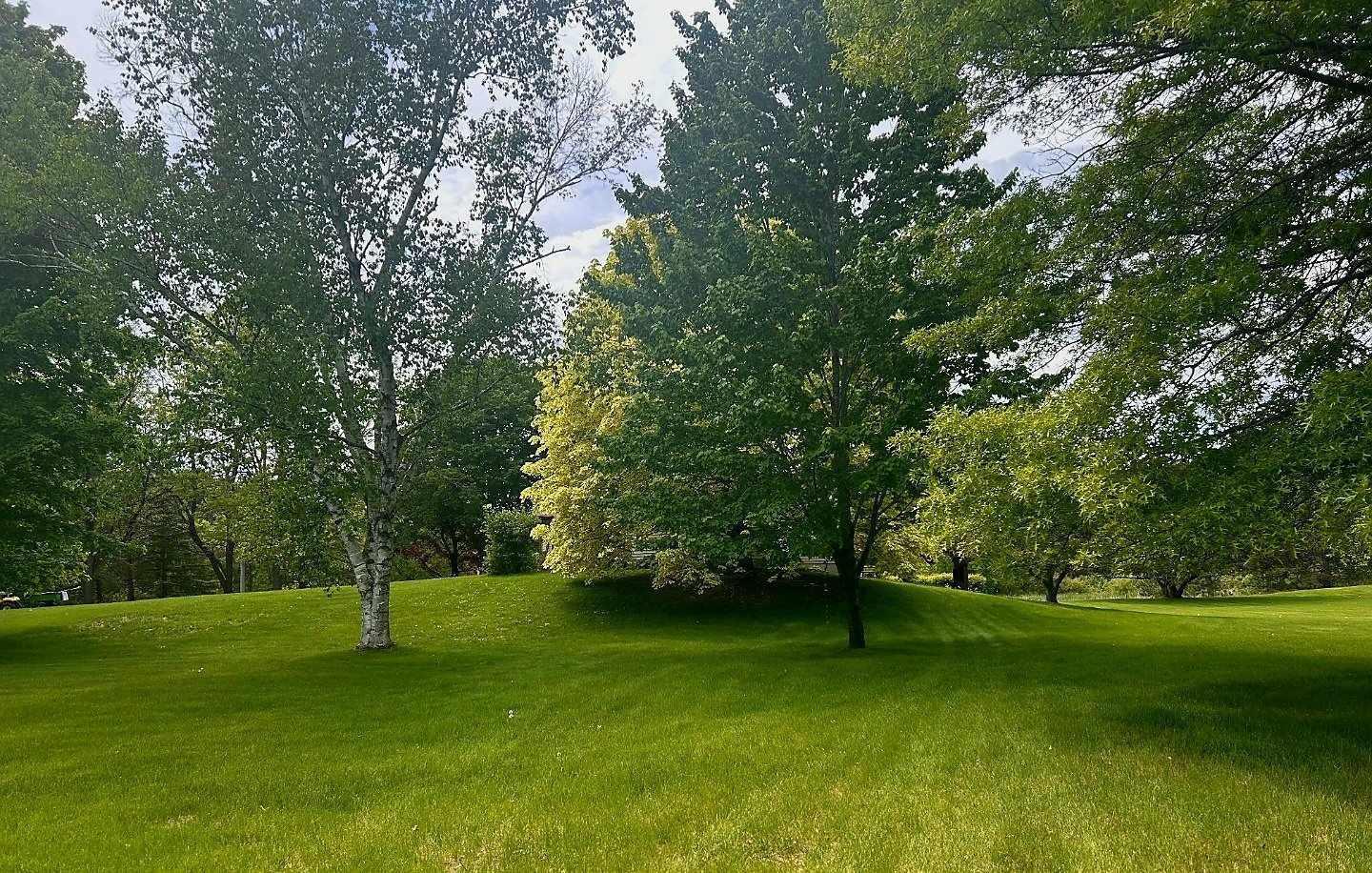 7331 175th Avenue NW