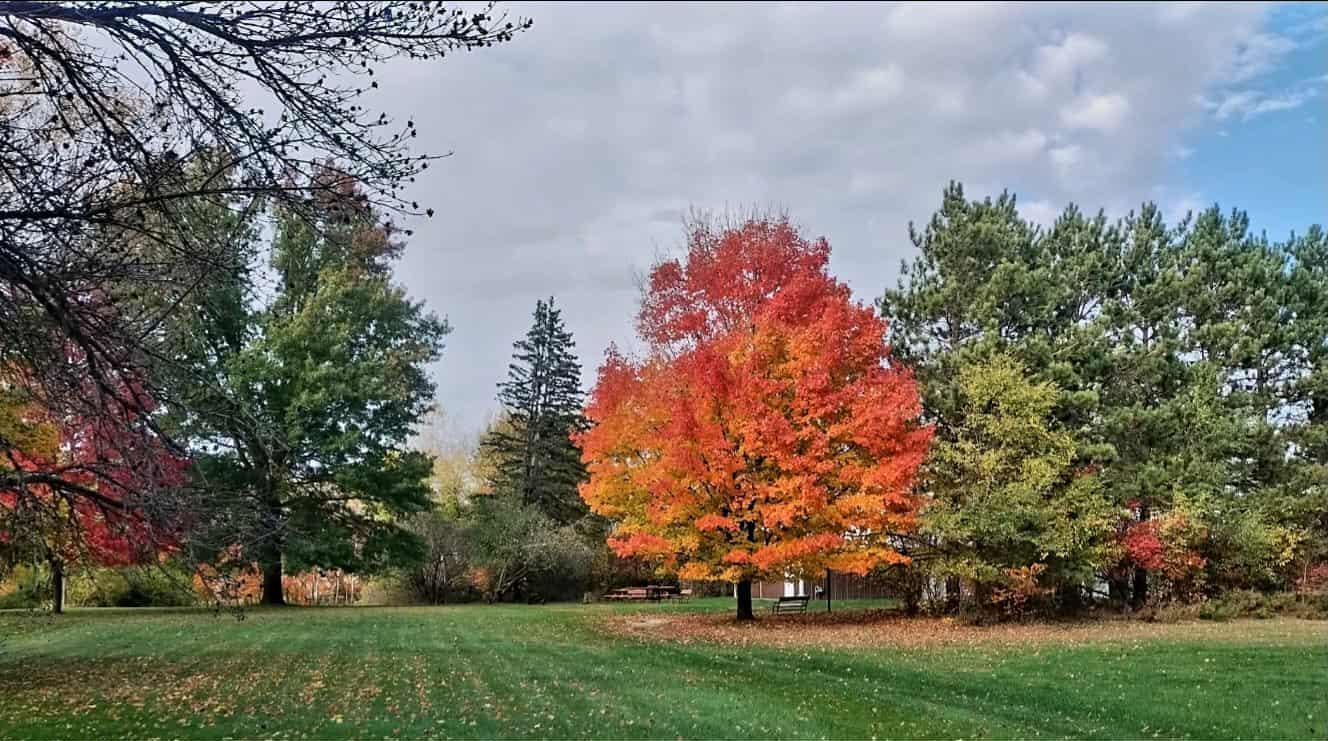 7331 175th Avenue NW