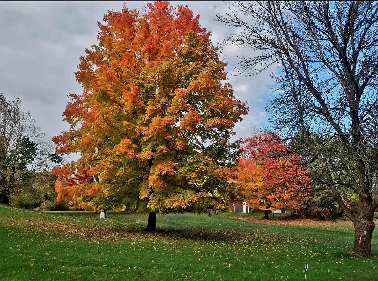 7331 175th Avenue NW