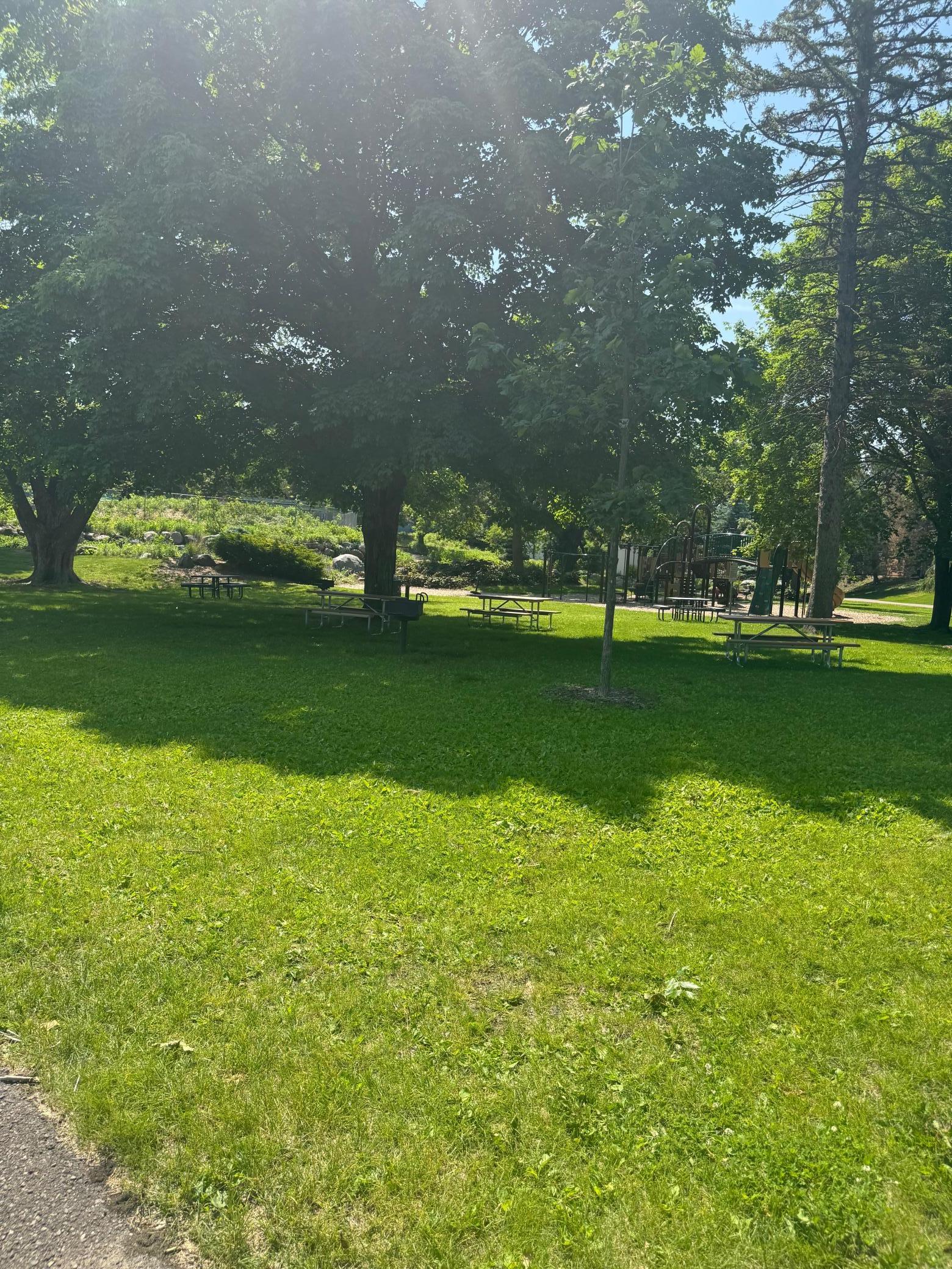 11594 Scotch Pine Court