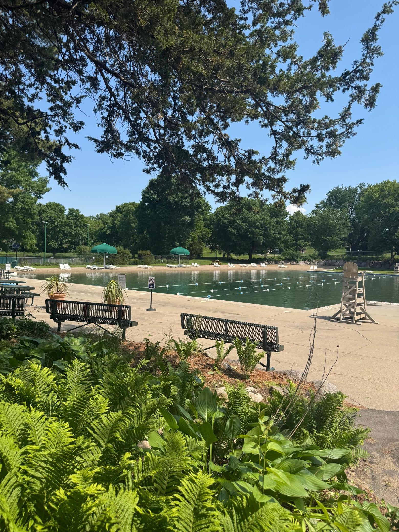 11594 Scotch Pine Court