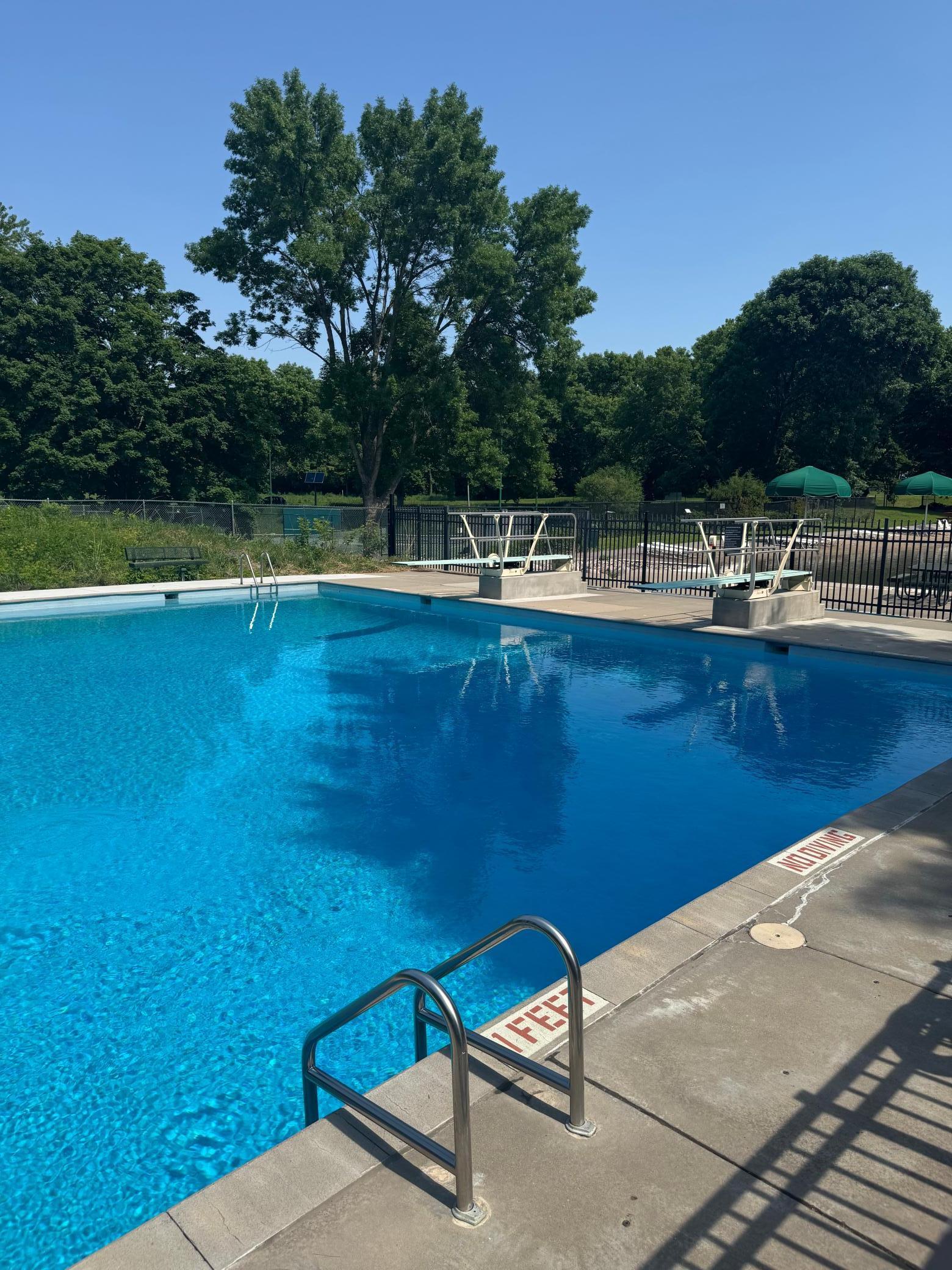 11594 Scotch Pine Court