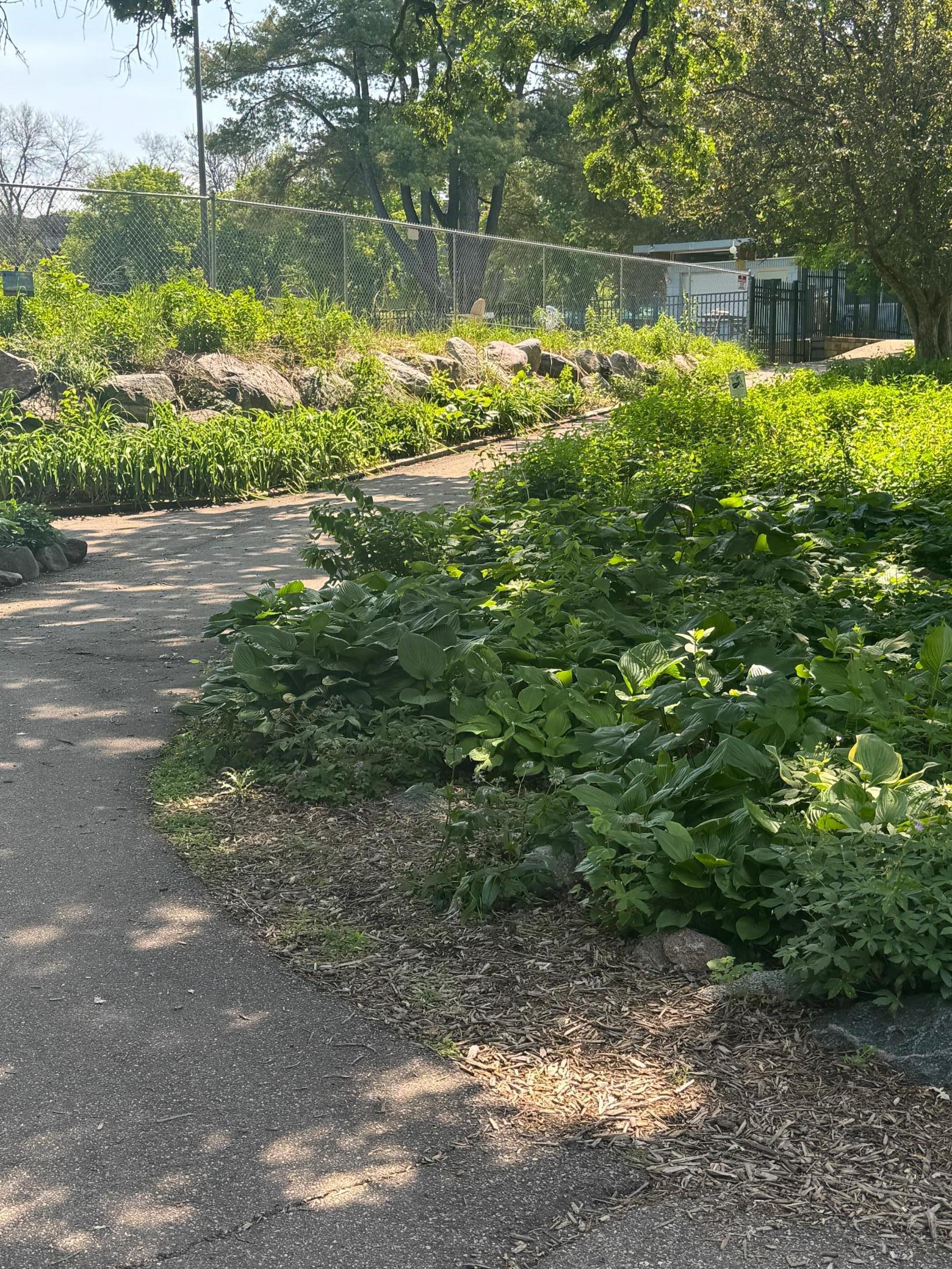 11594 Scotch Pine Court