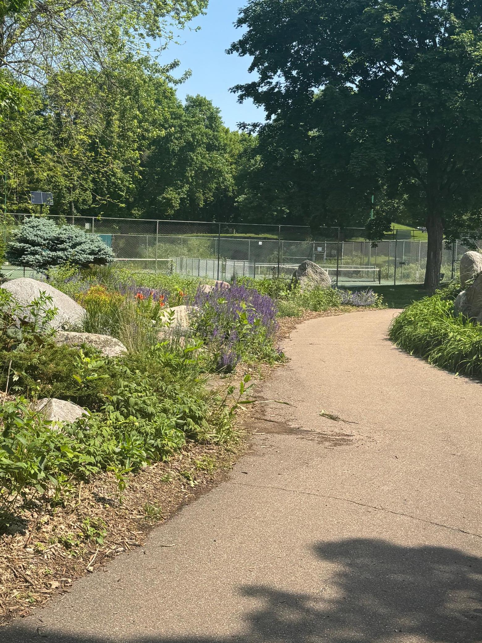 11594 Scotch Pine Court