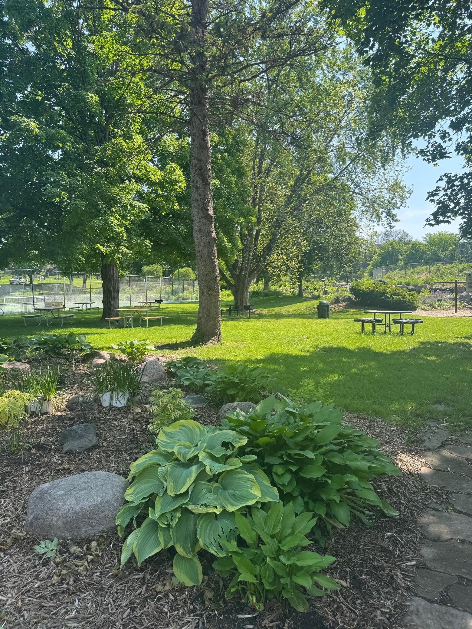 11594 Scotch Pine Court