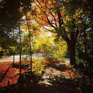 9146 Neill Lake Road