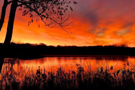 9146 Neill Lake Road