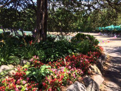 9146 Neill Lake Road