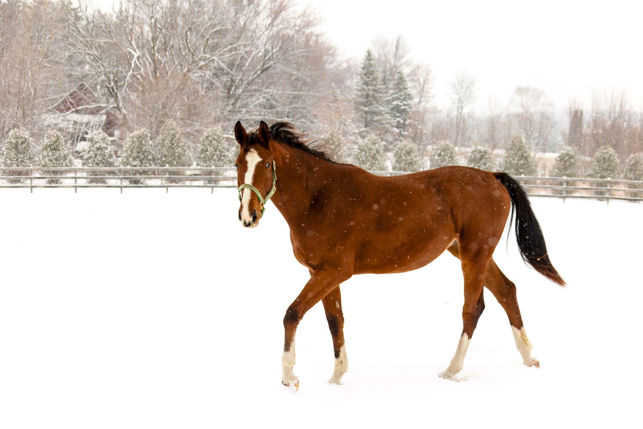 9685 County Road 13 SE