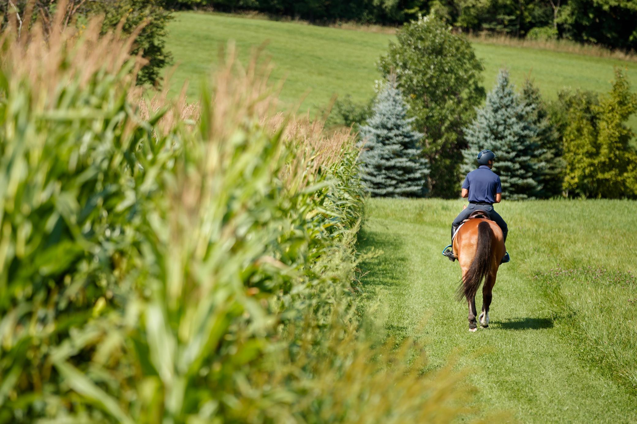 9685 County Road 13 SE