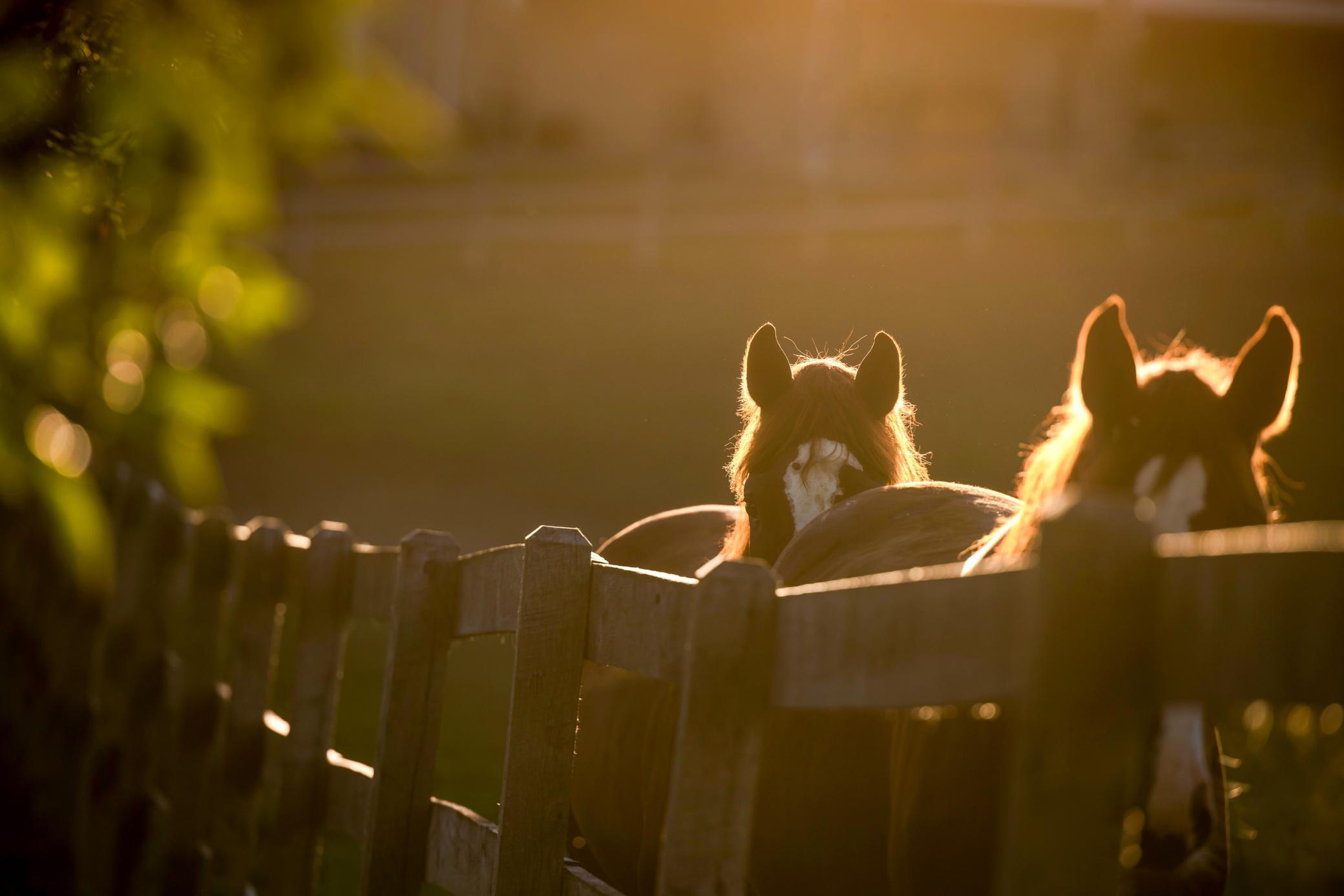 9685 County Road 13 SE