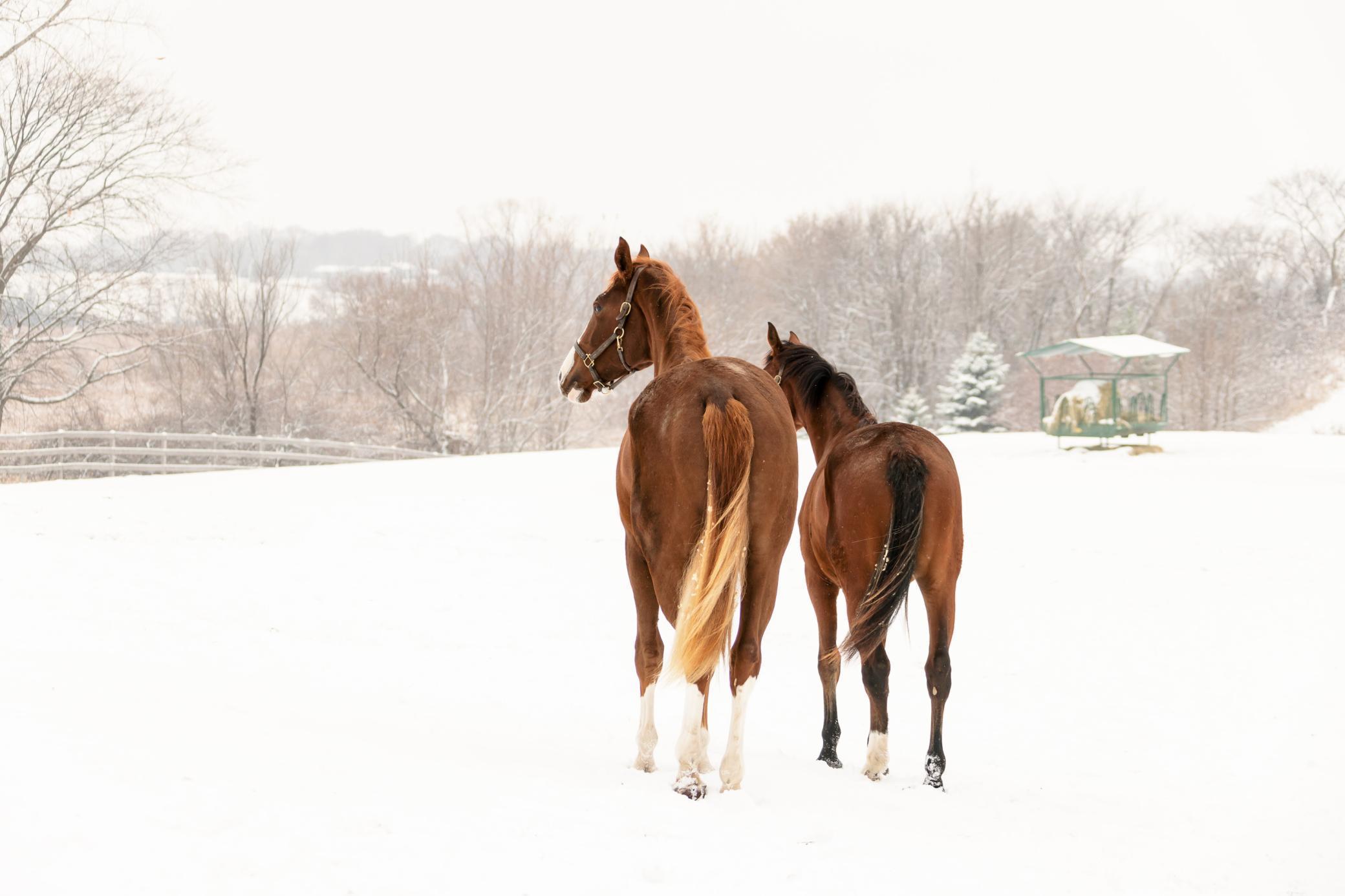 9685 County Road 13 SE