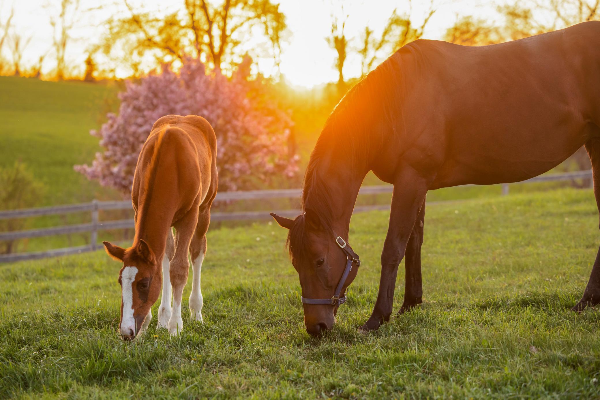 9685 County Road 13 SE