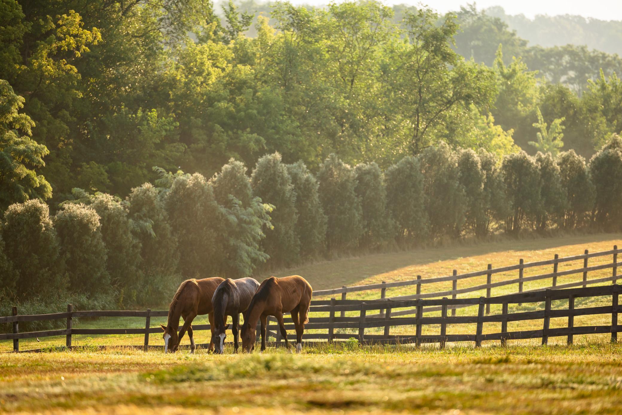 9685 County Road 13 SE