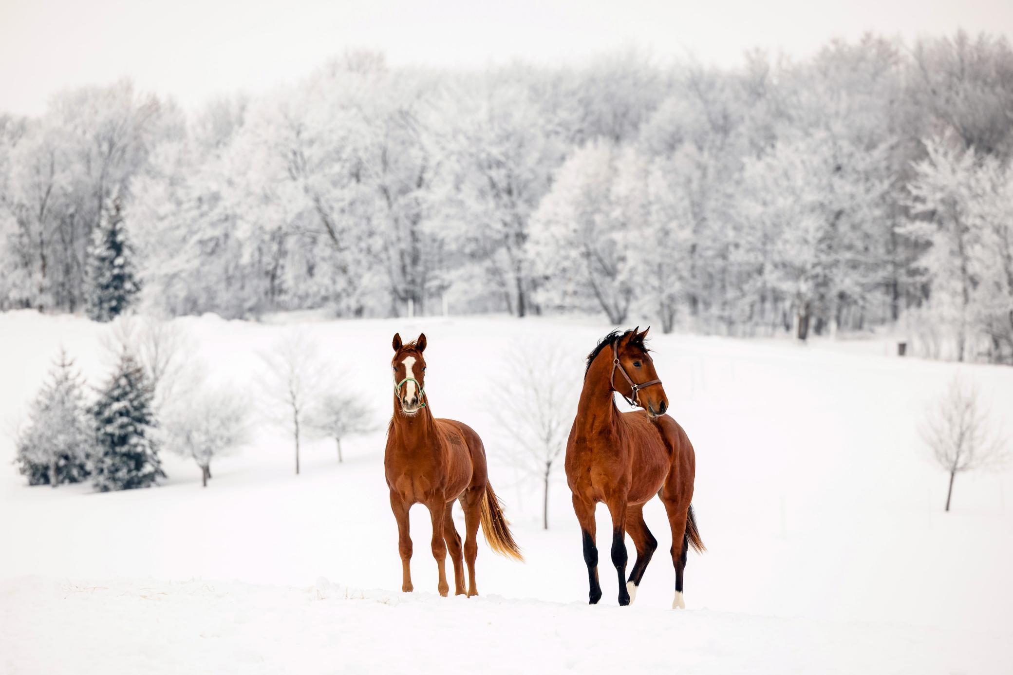 9685 County Road 13 SE