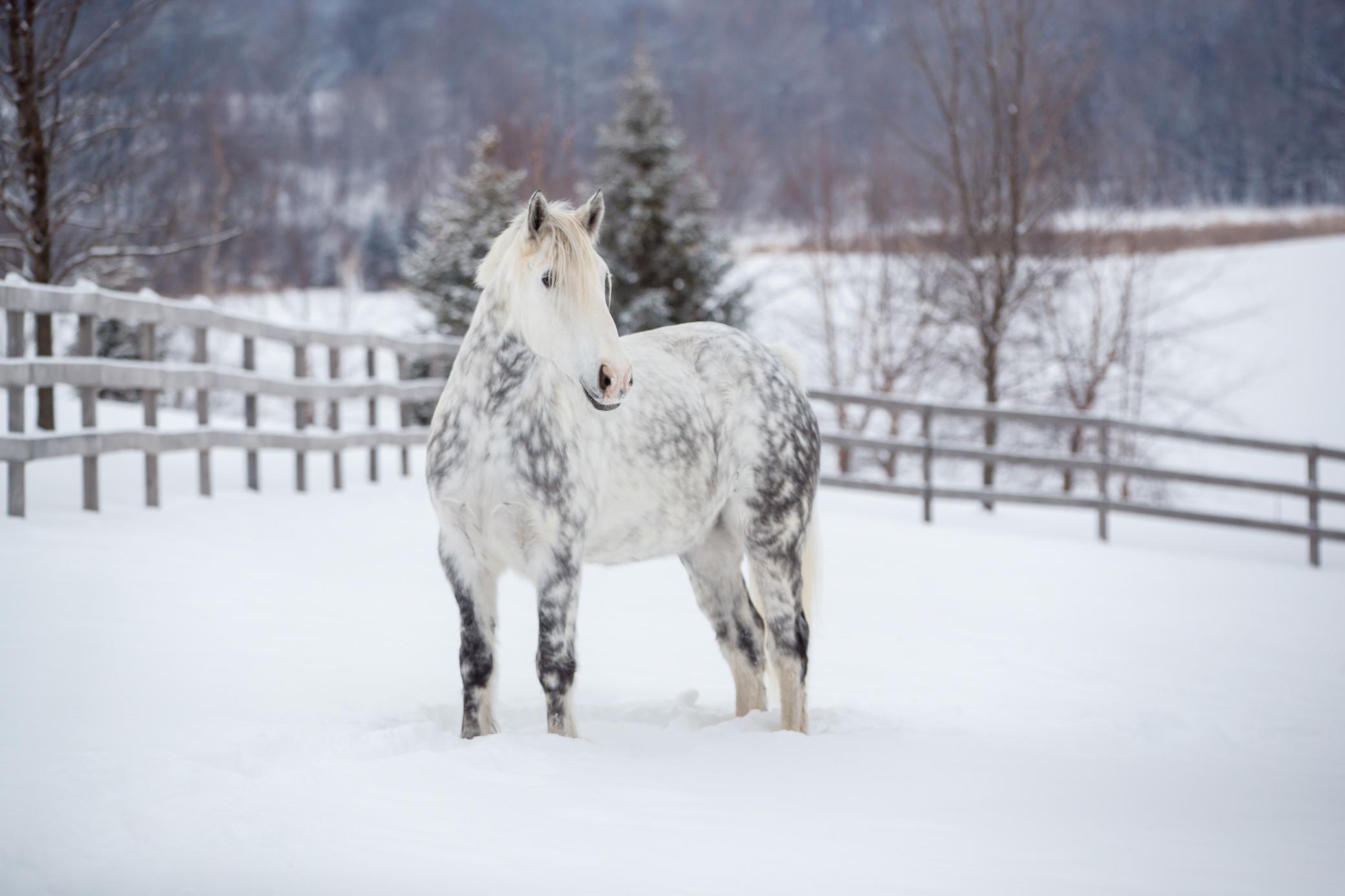 9685 County Road 13 SE