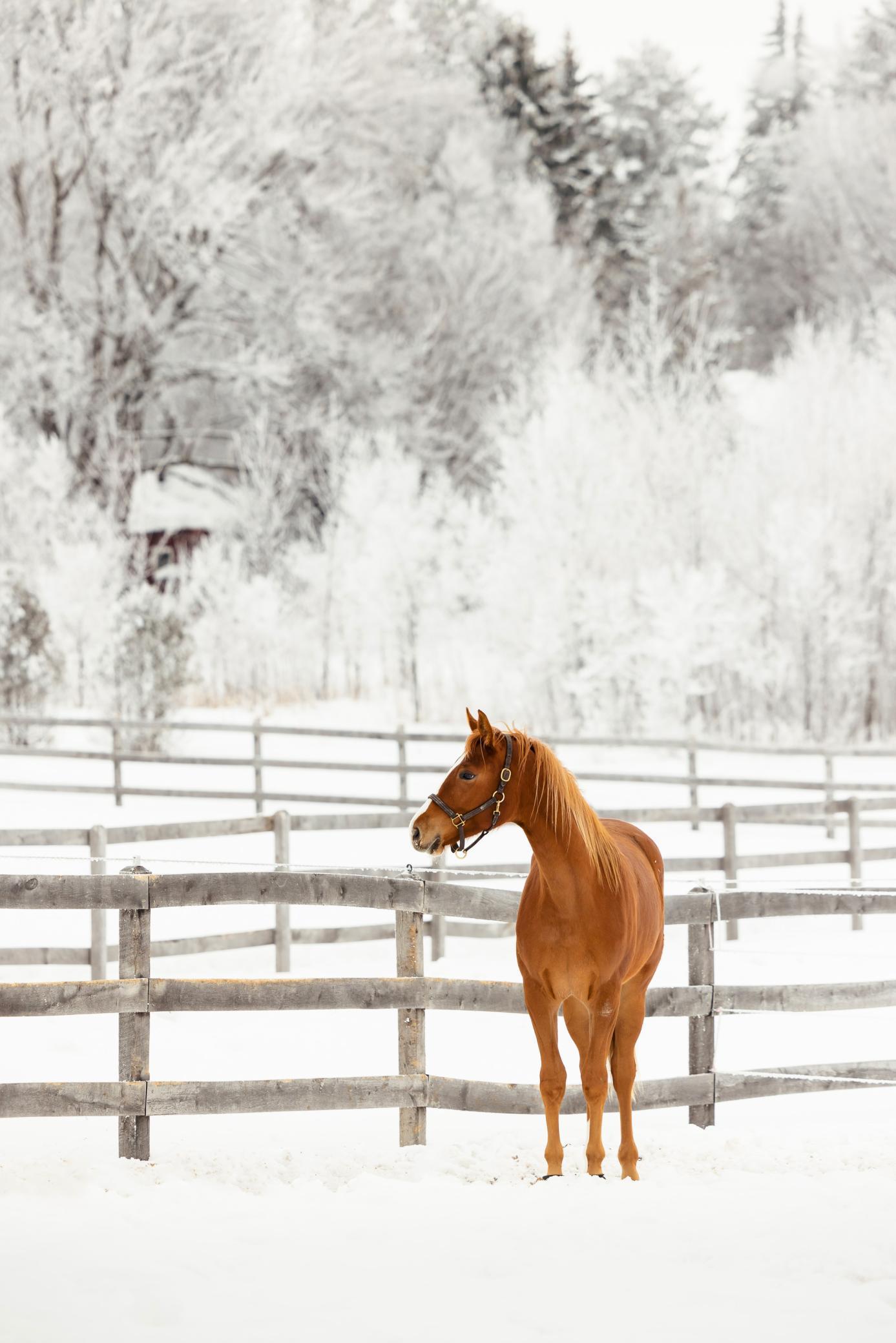 9685 County Road 13 SE