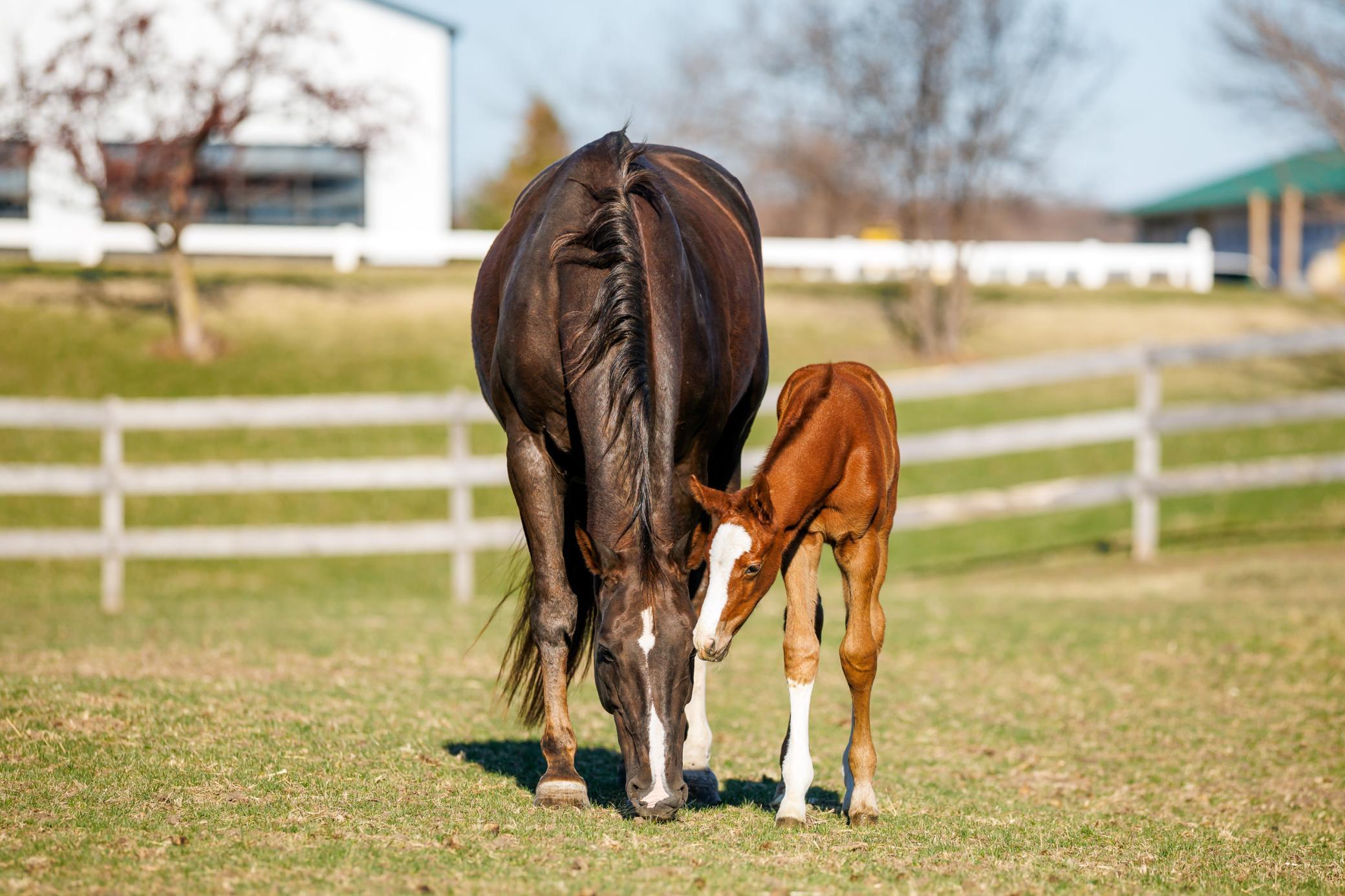 9685 County Road 13 SE