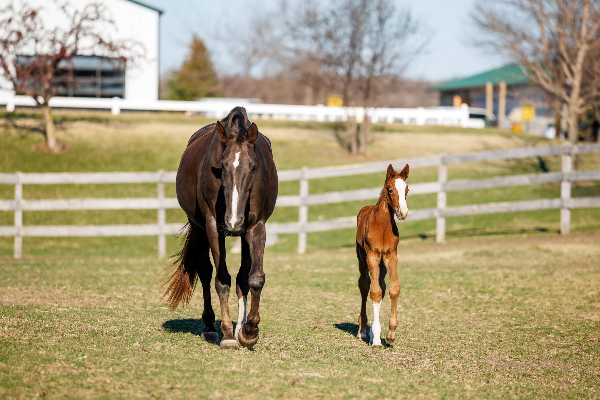 9685 County Road 13 SE