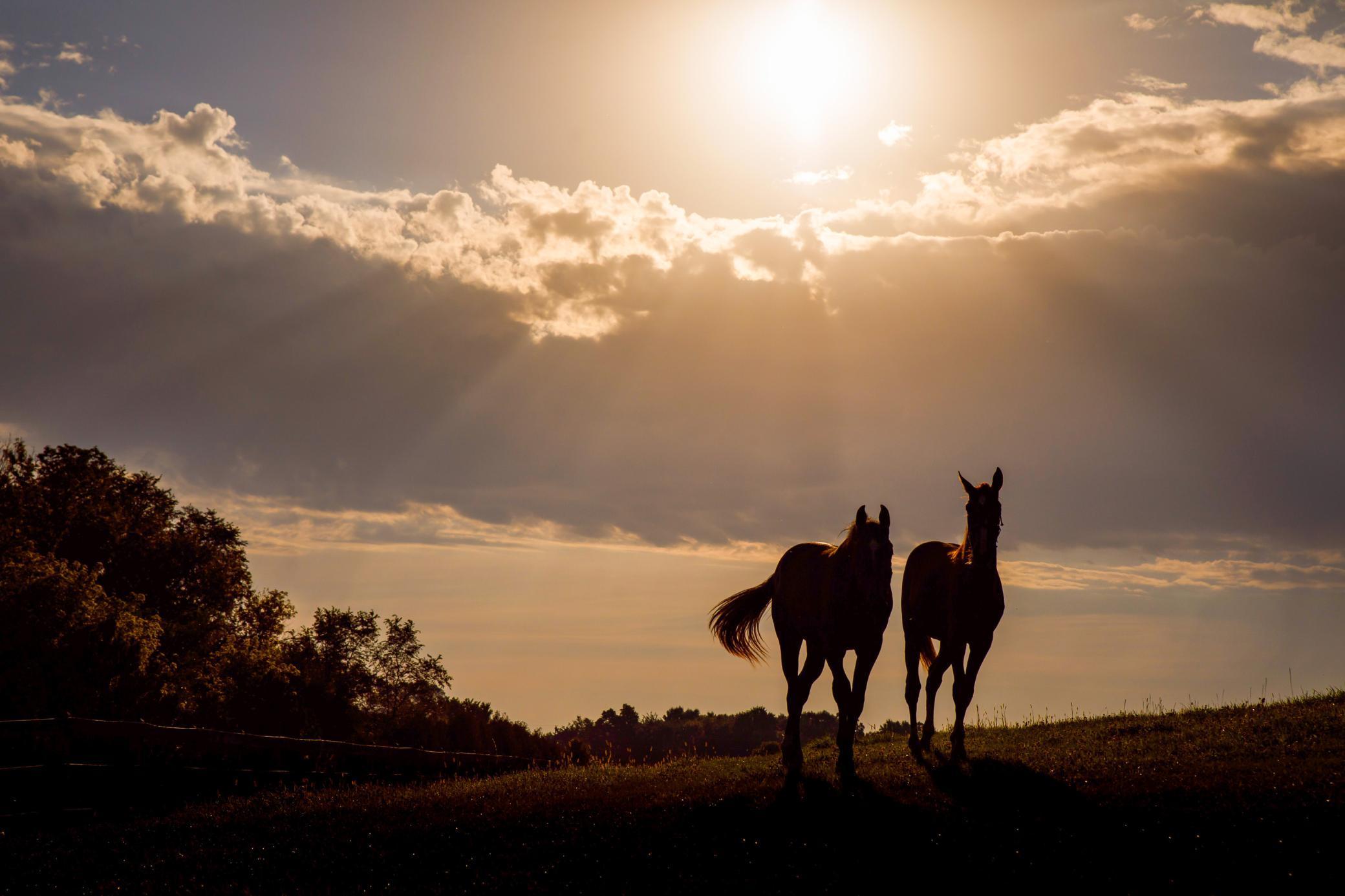 9685 County Road 13 SE