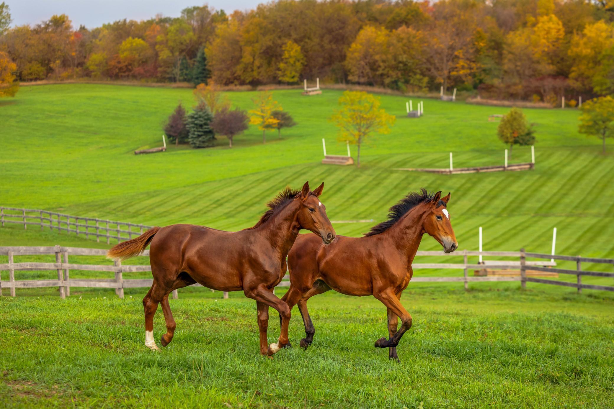 9685 County Road 13 SE