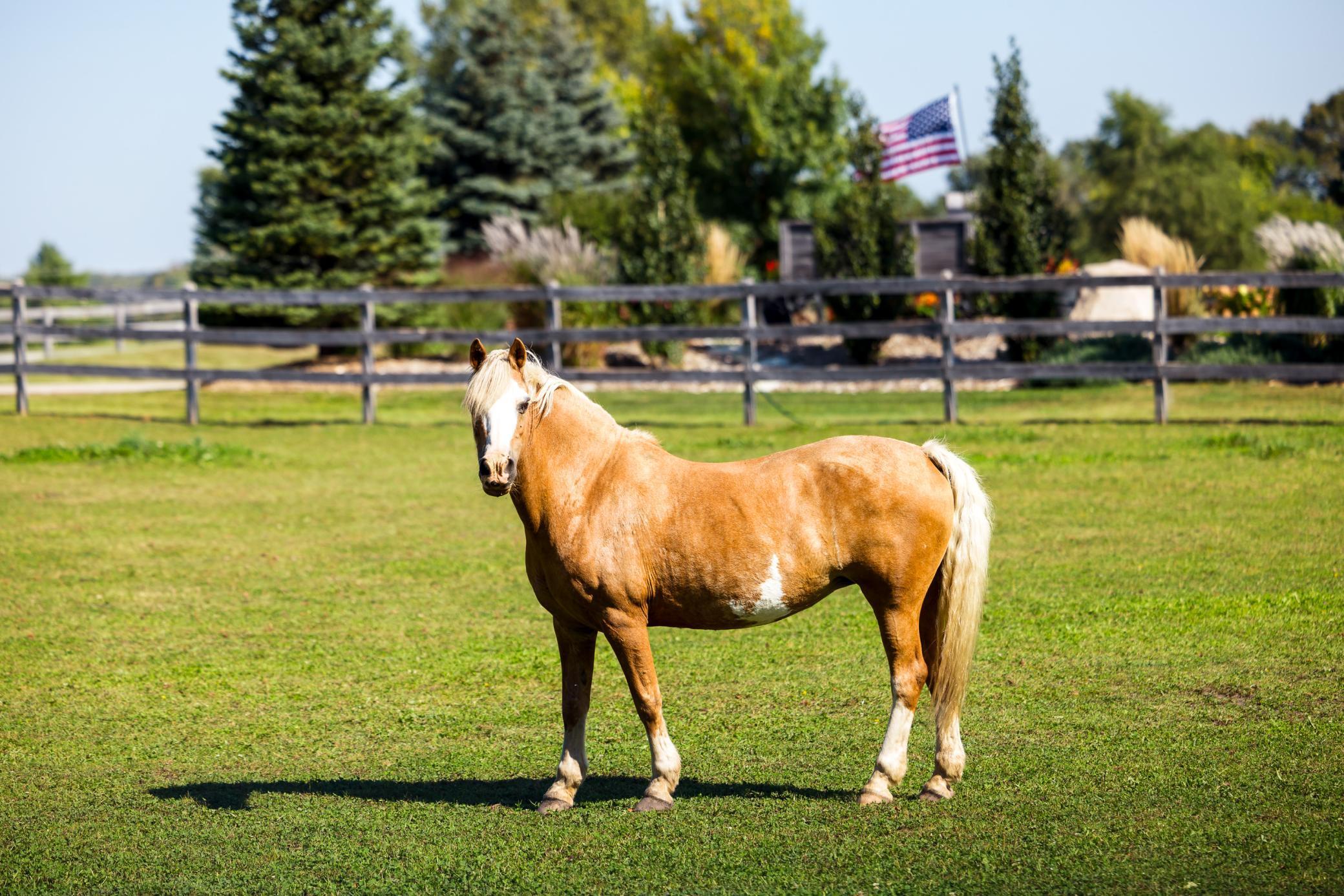 9685 County Road 13 SE