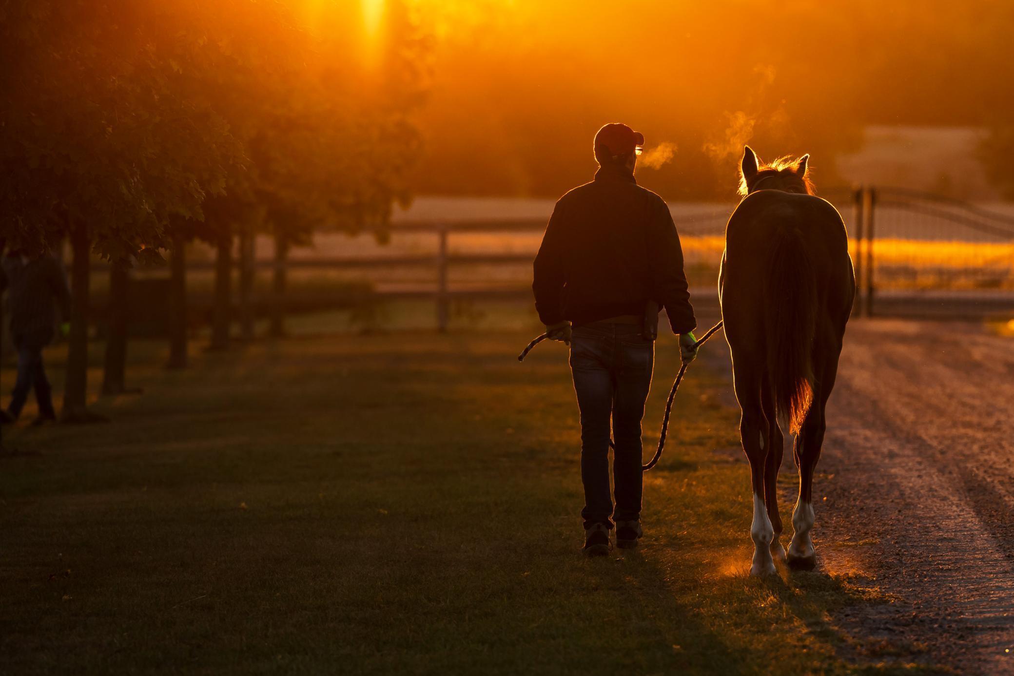 9685 County Road 13 SE