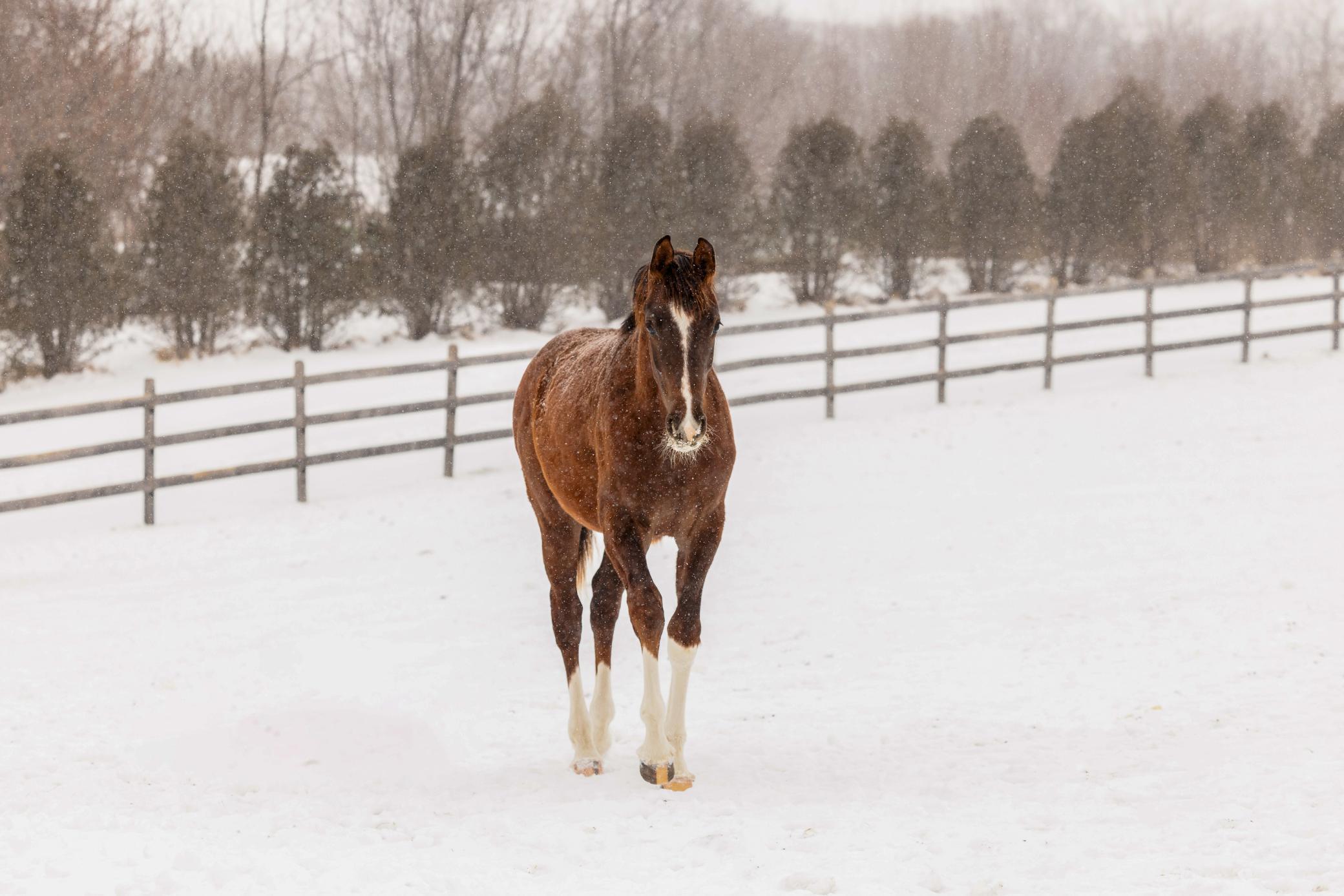 9685 County Road 13 SE