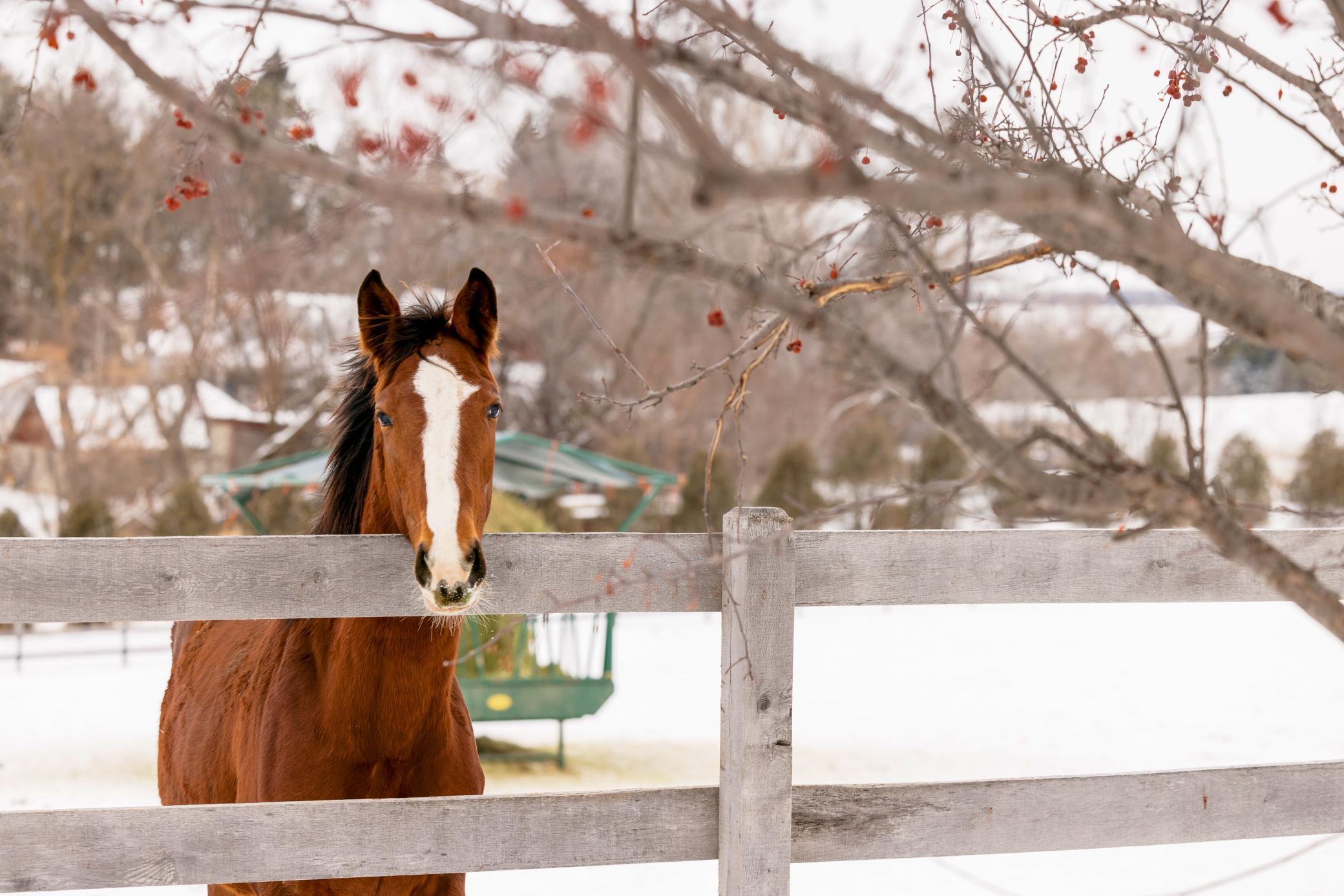 9685 County Road 13 SE