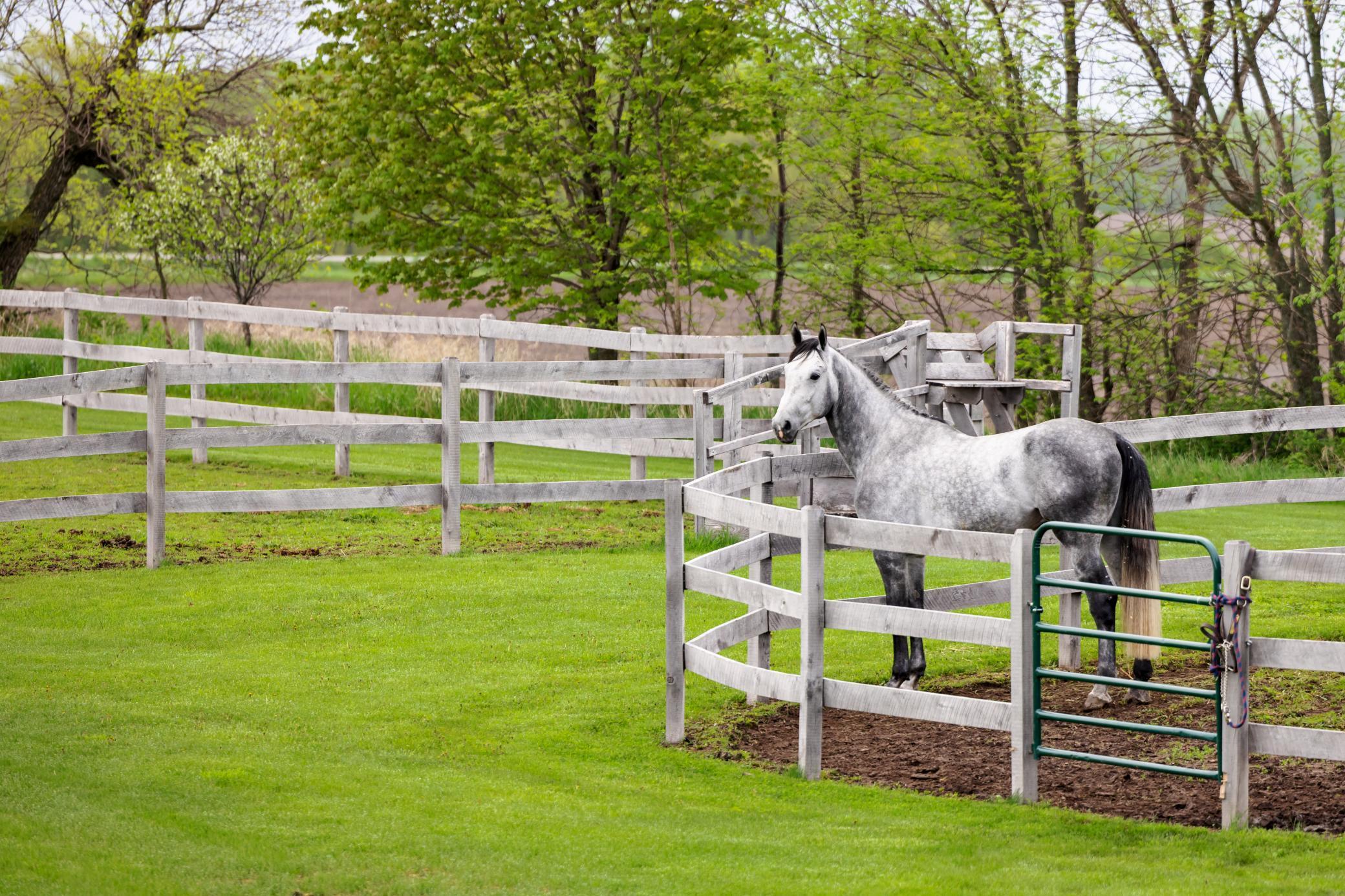 9685 County Road 13 SE