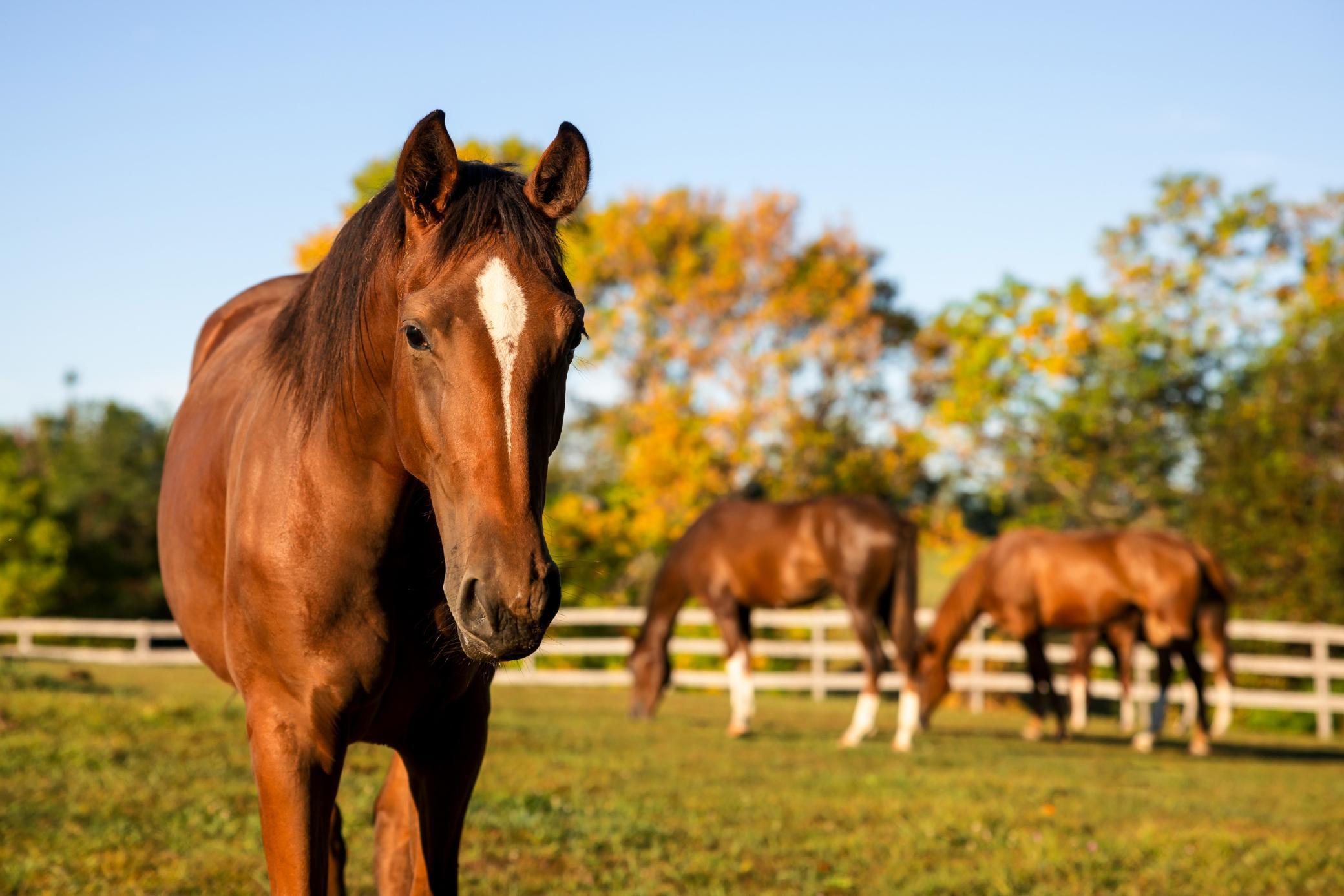 9685 County Road 13 SE