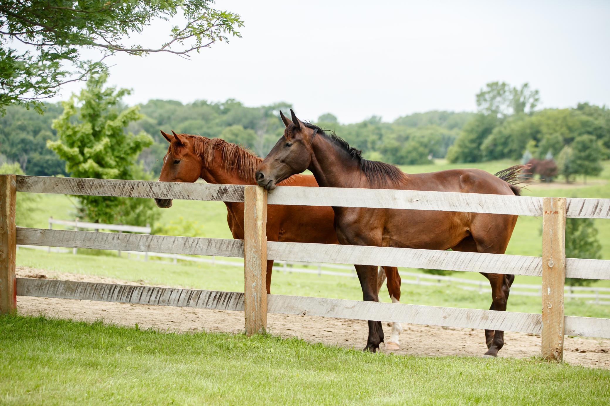 9685 County Road 13 SE