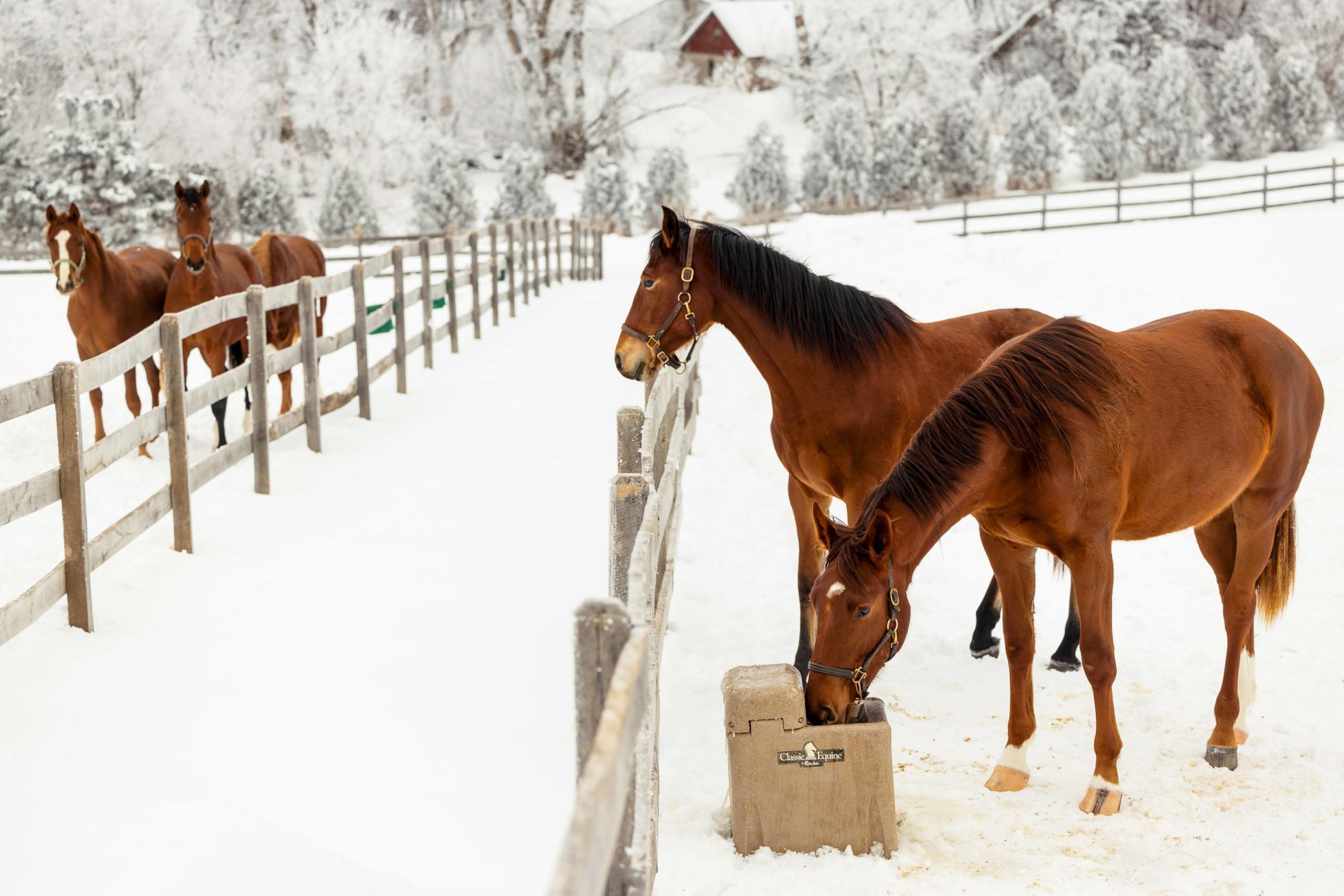 9685 County Road 13 SE