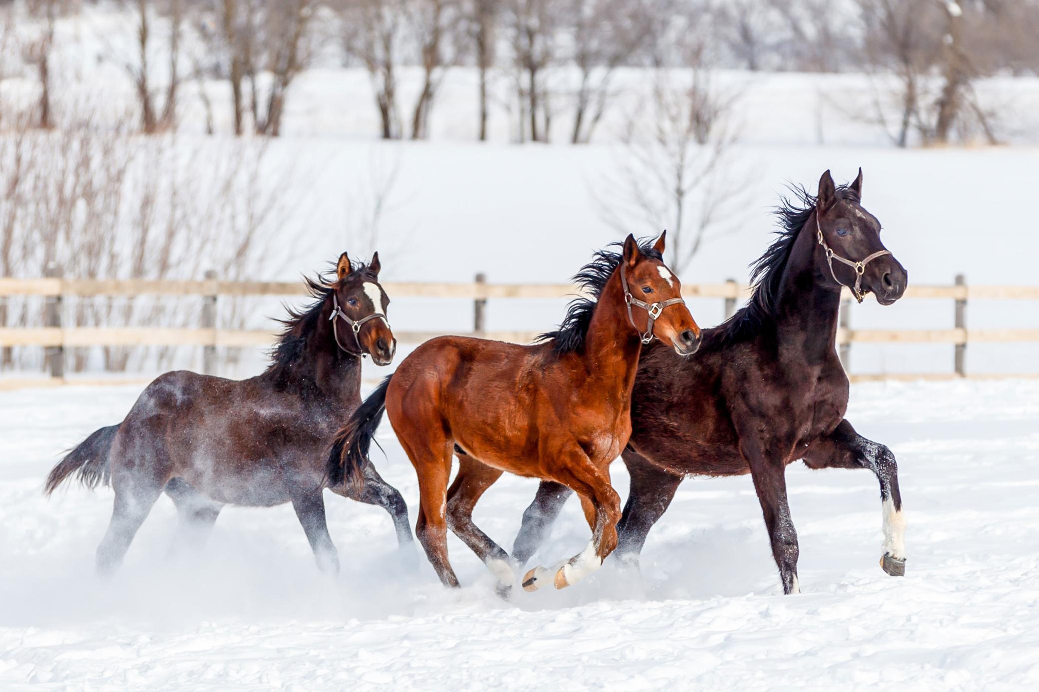 9685 County Road 13 SE