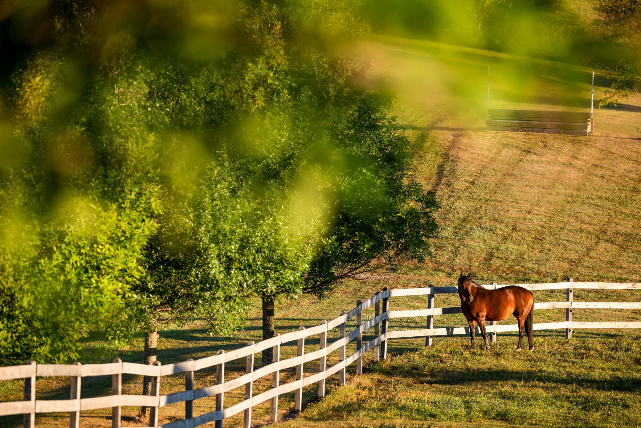 9685 County Road 13 SE