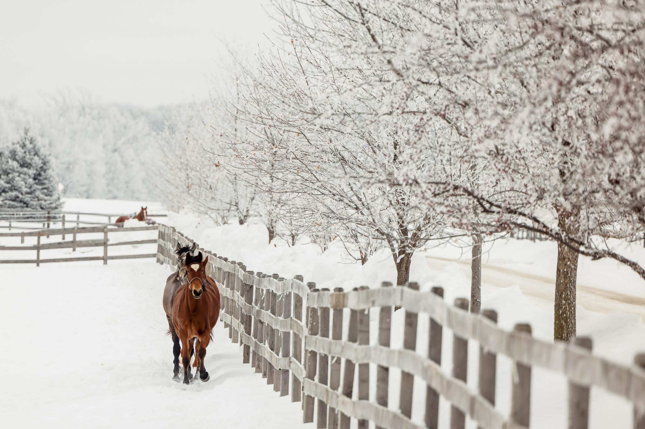 9685 County Road 13 SE