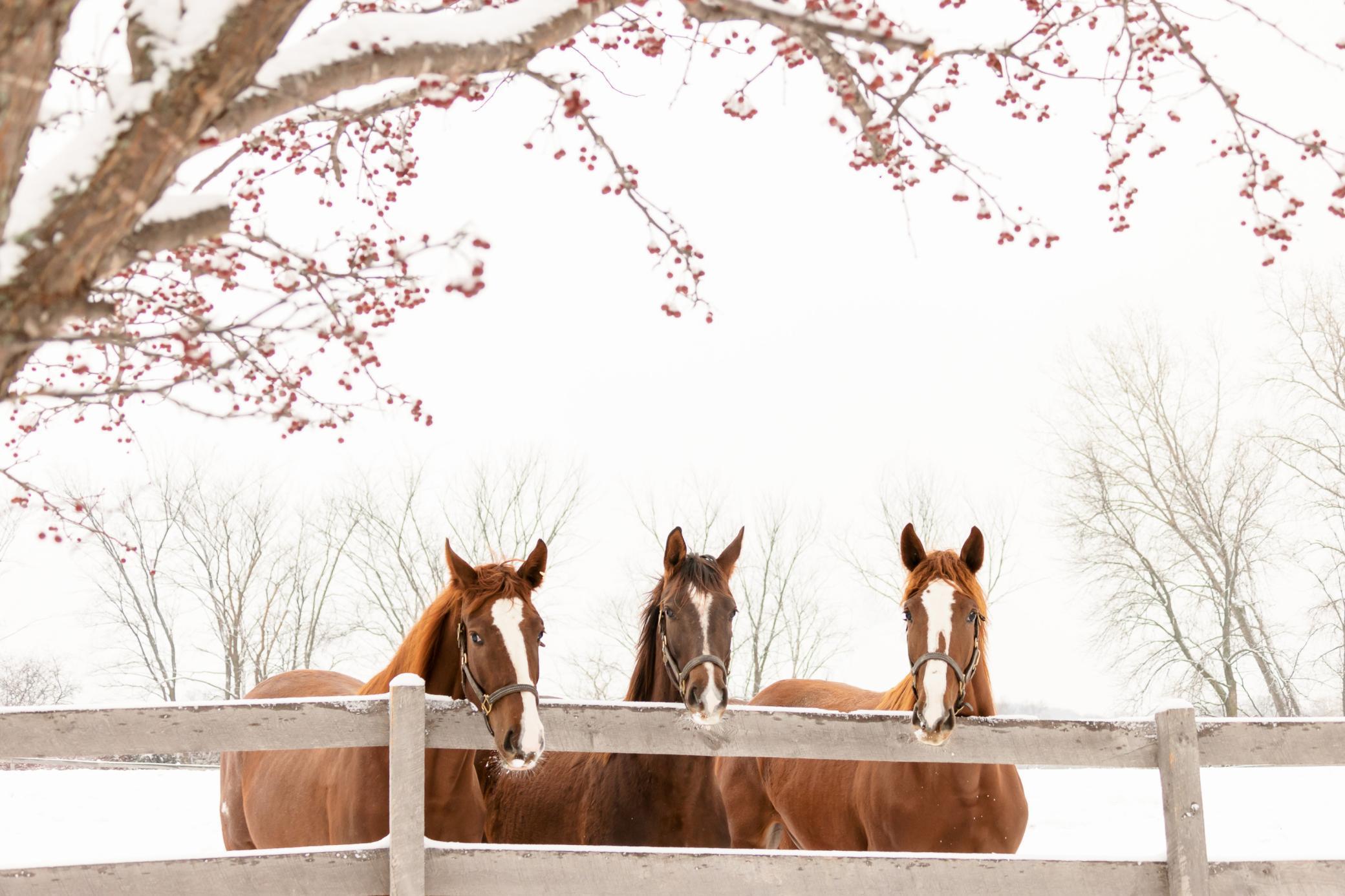 9685 County Road 13 SE