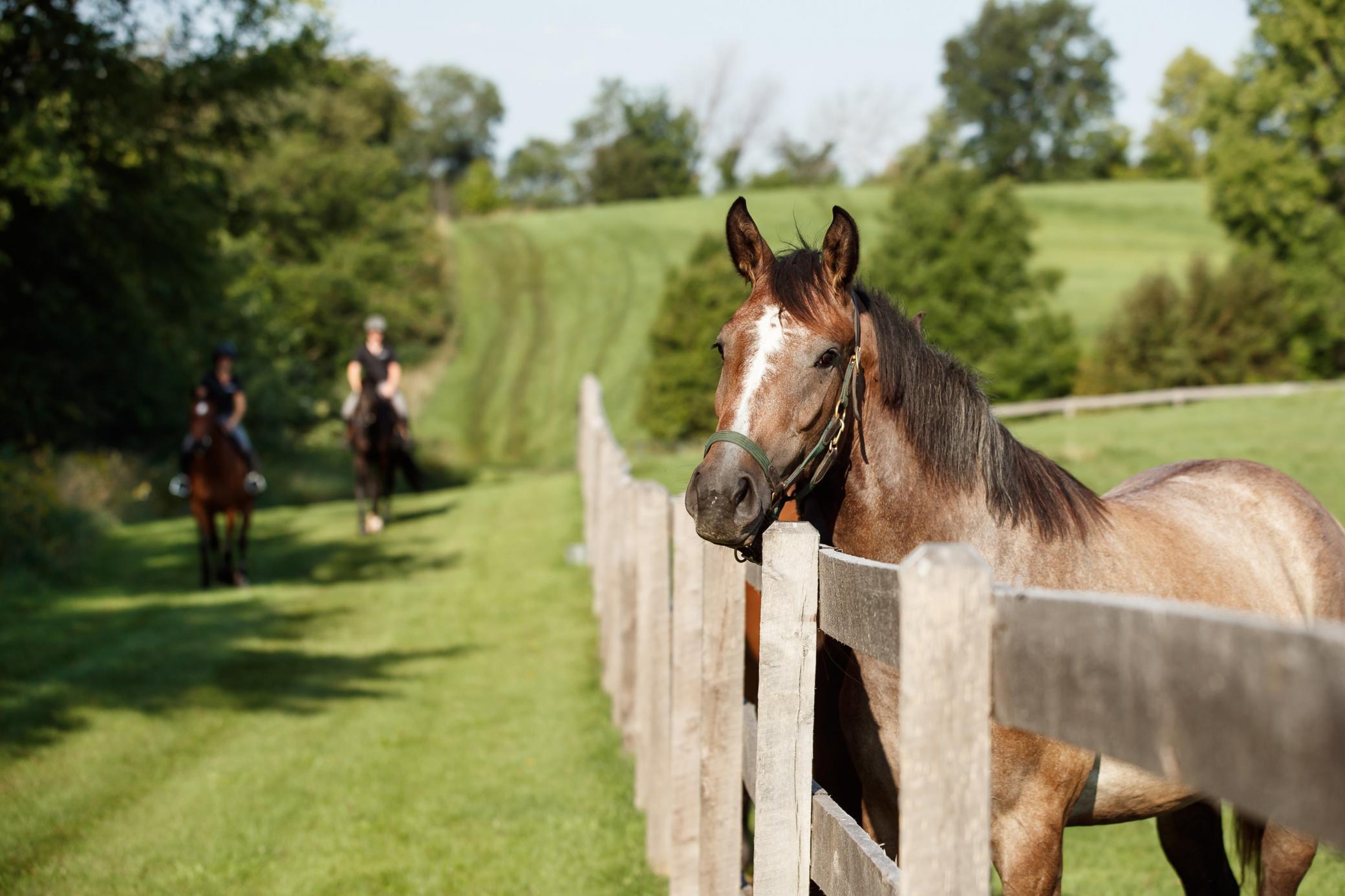 9685 County Road 13 SE