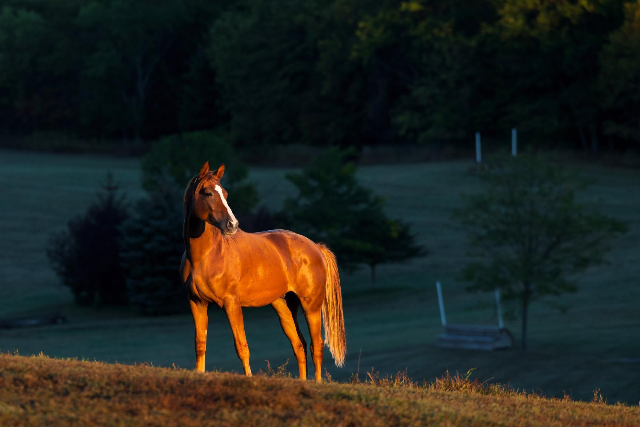 9685 County Road 13 SE