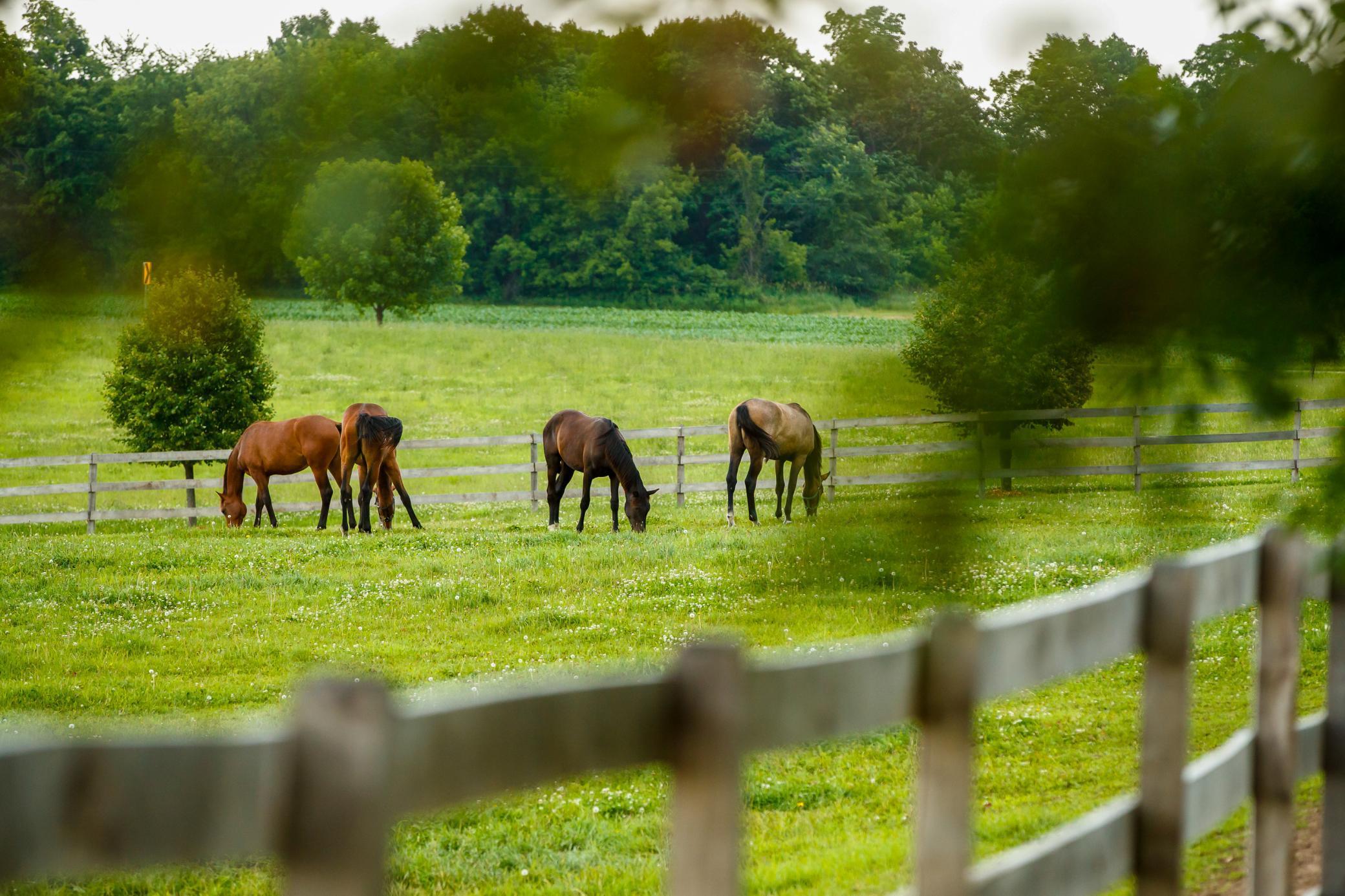 9685 County Road 13 SE