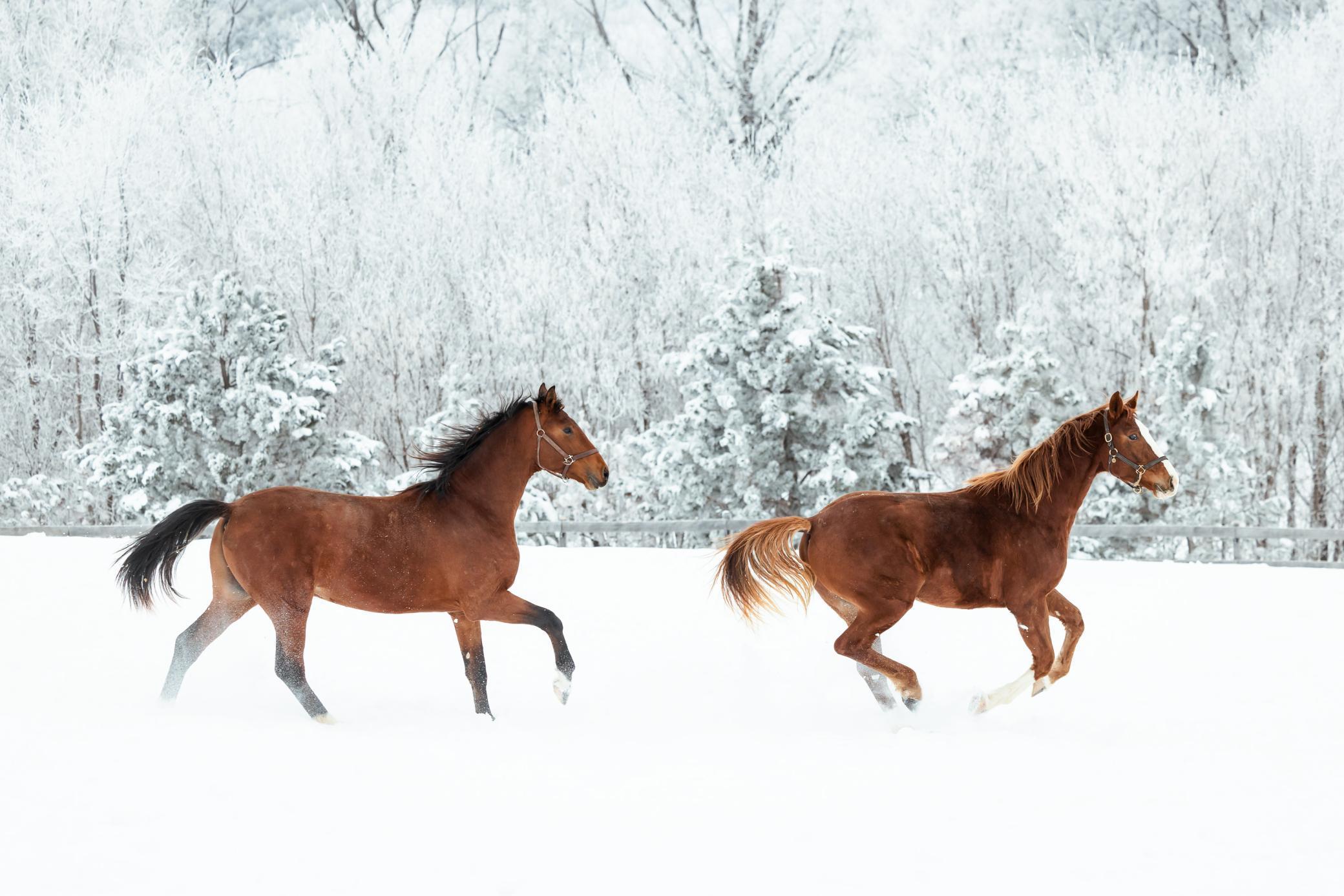 9685 County Road 13 SE