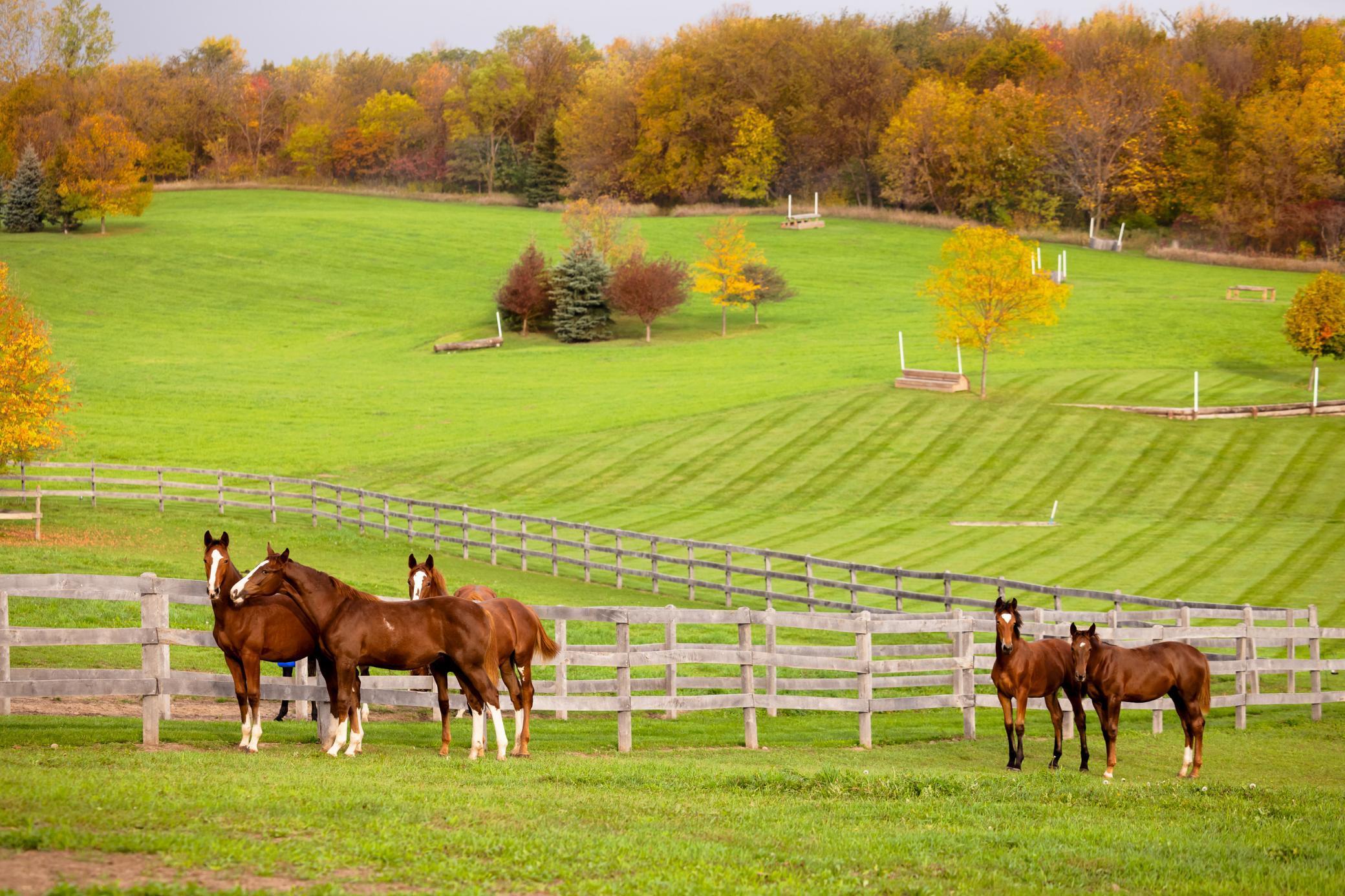 9685 County Road 13 SE