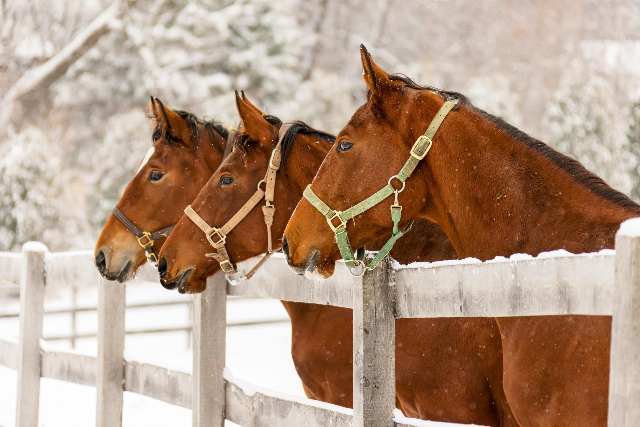 9685 County Road 13 SE