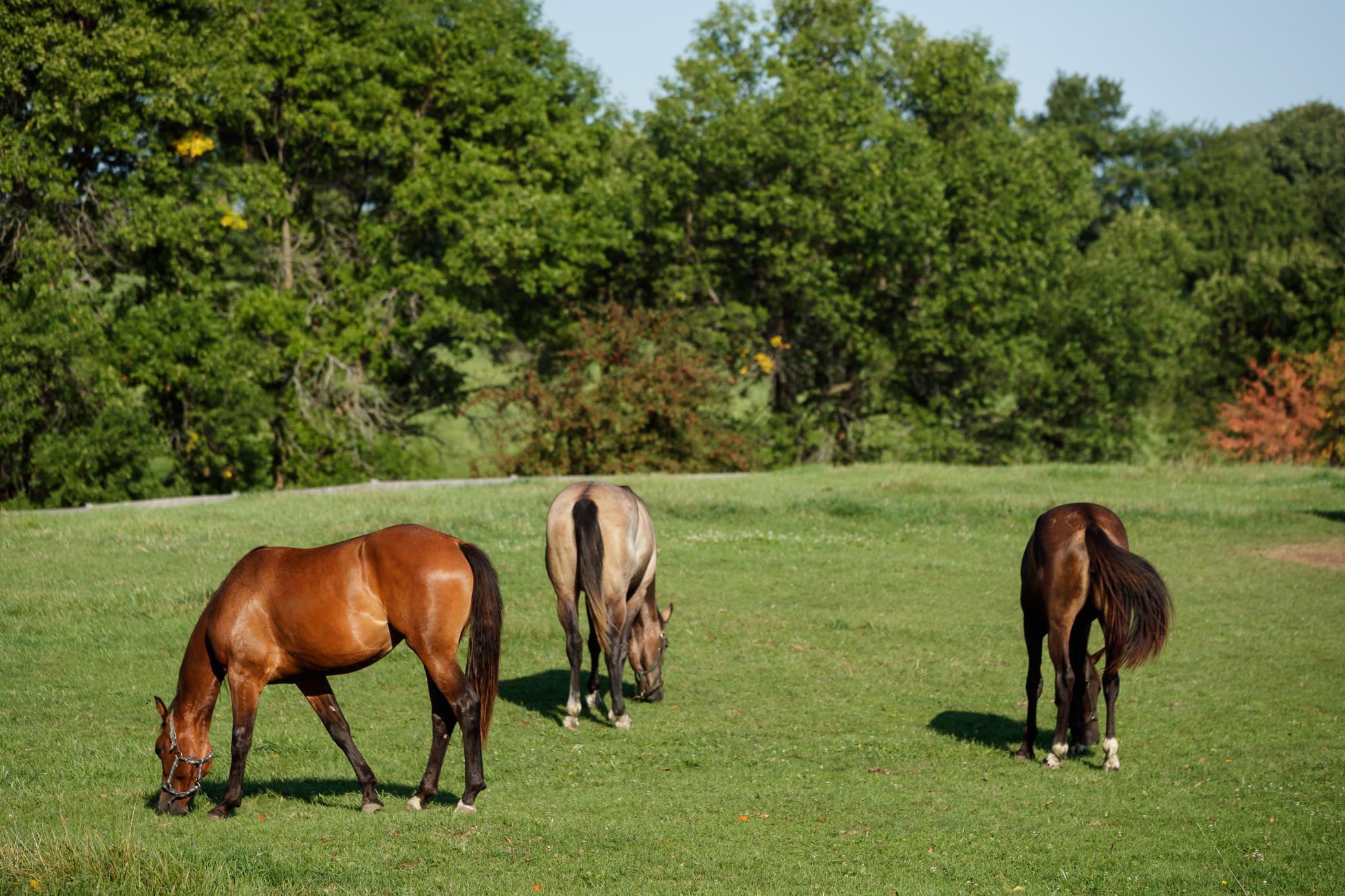 9685 County Road 13 SE