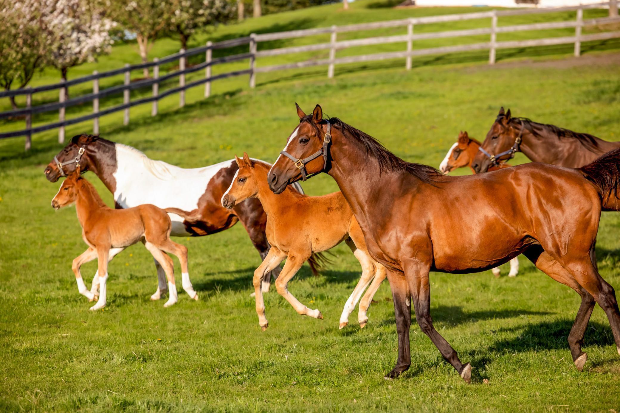 9685 County Road 13 SE