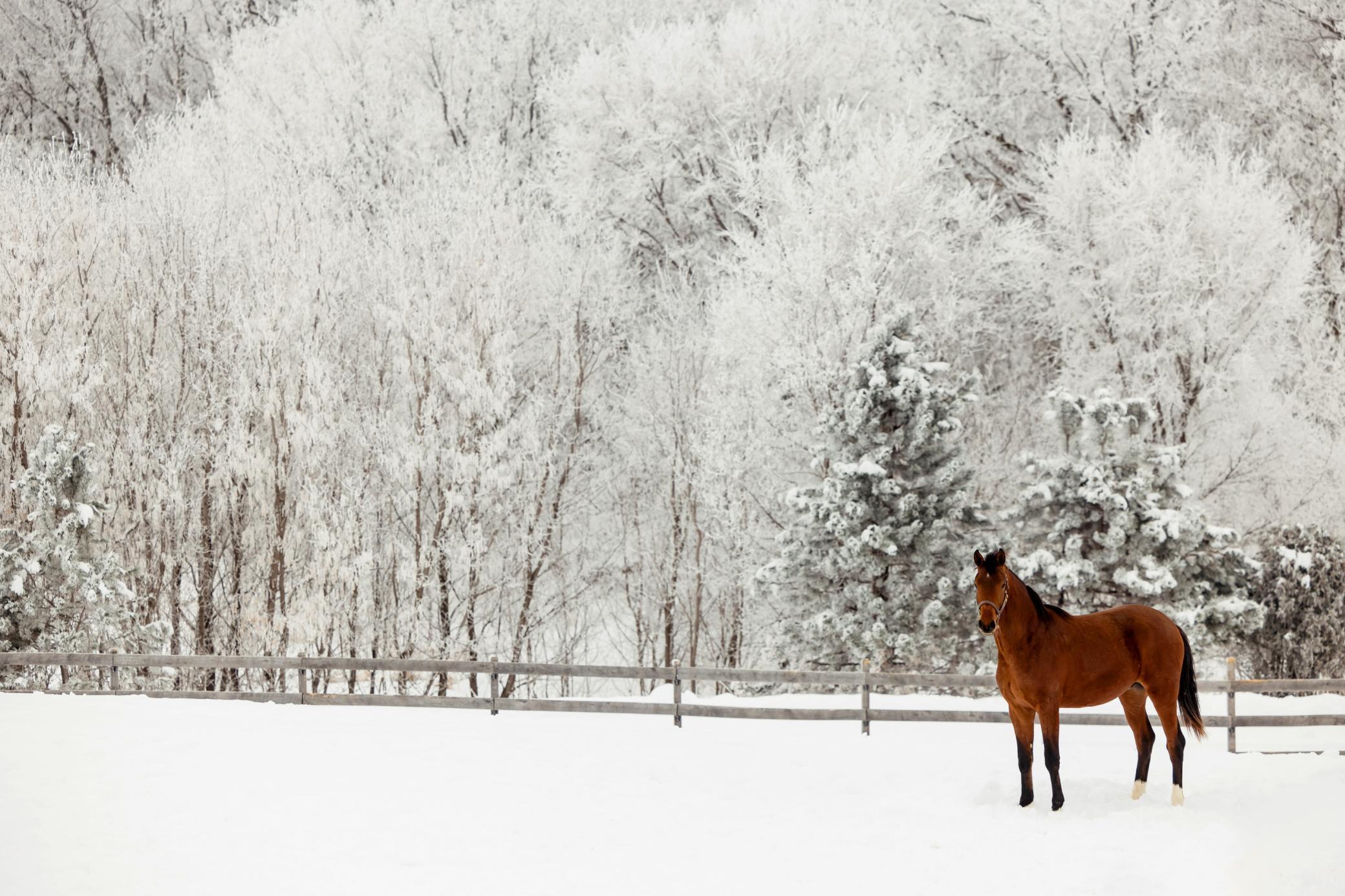 9685 County Road 13 SE