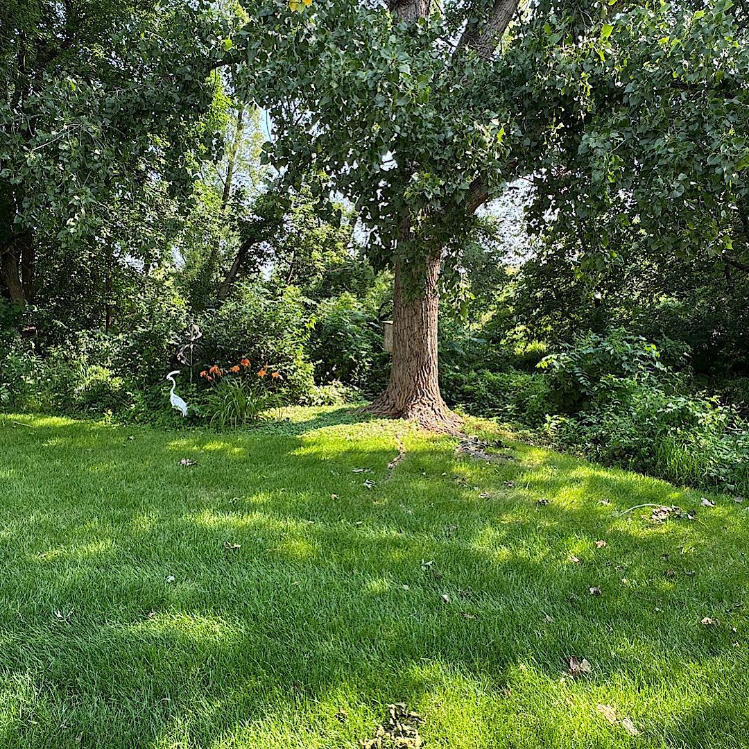 4354 Priorwood Street SE