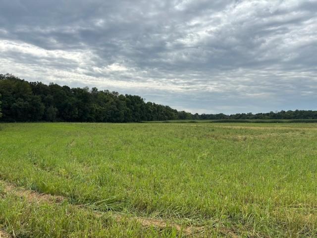 XXXX County Rd 30 SW Tract B