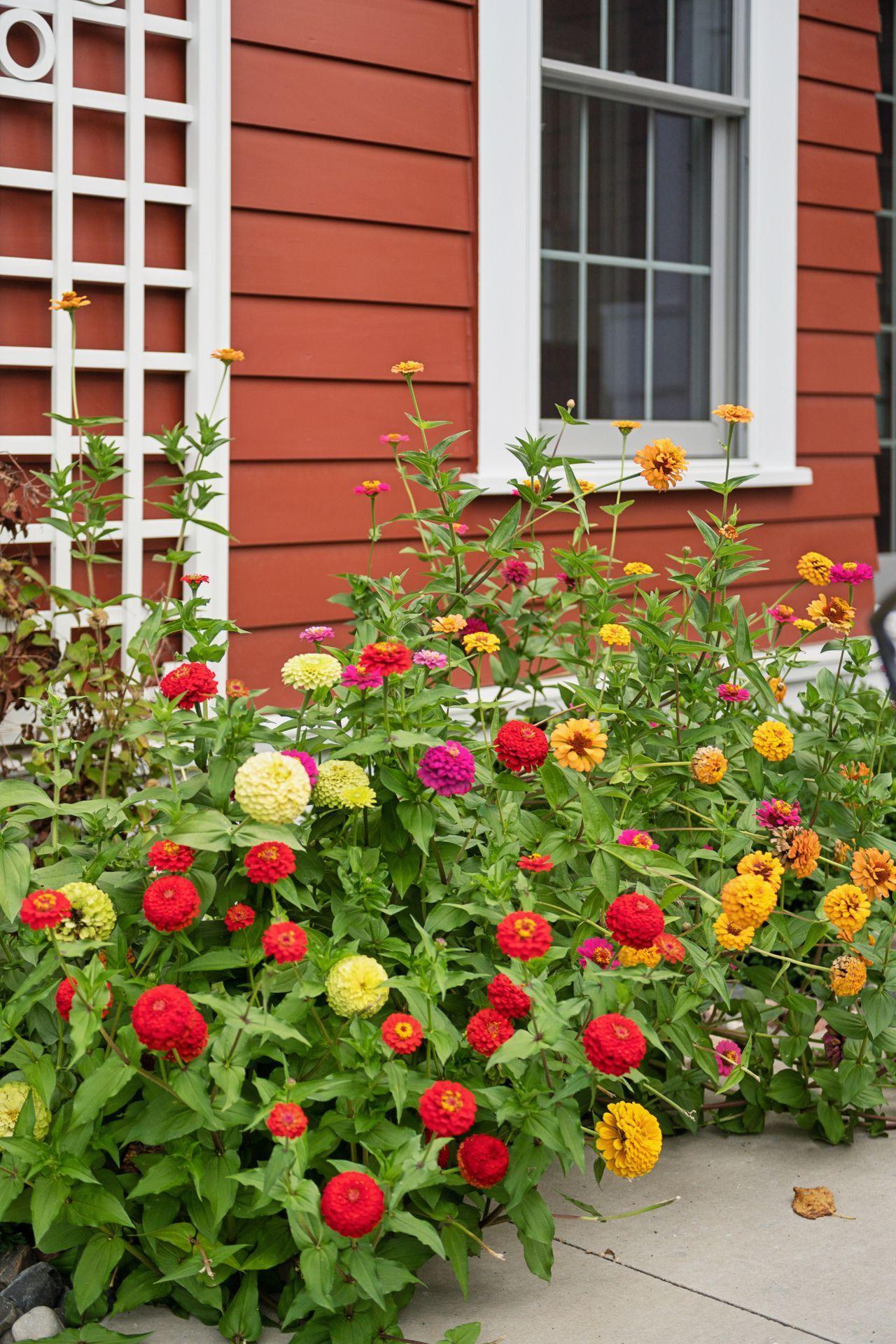 3698 Woodland Cove Parkway