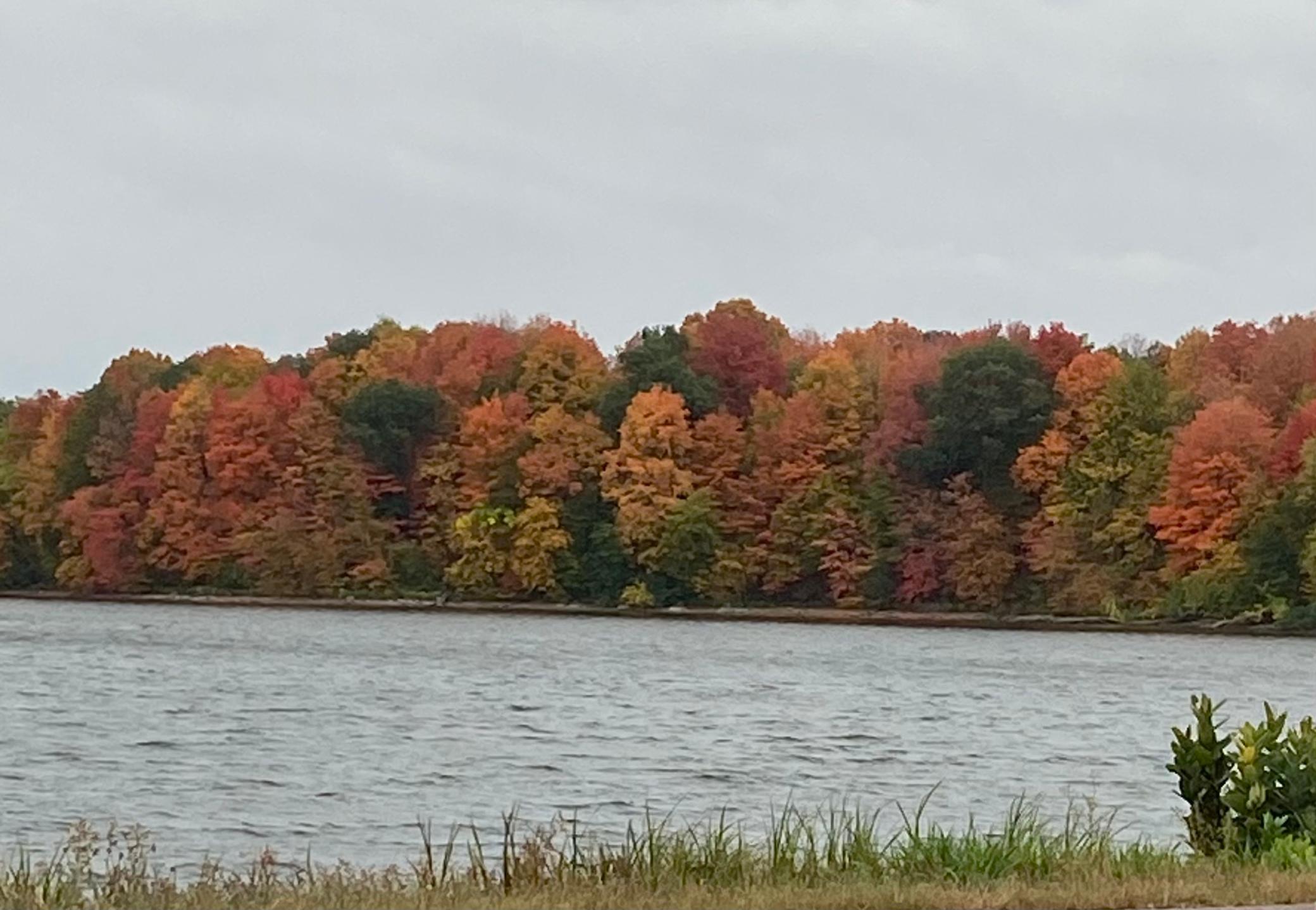 14020 Townline Avenue